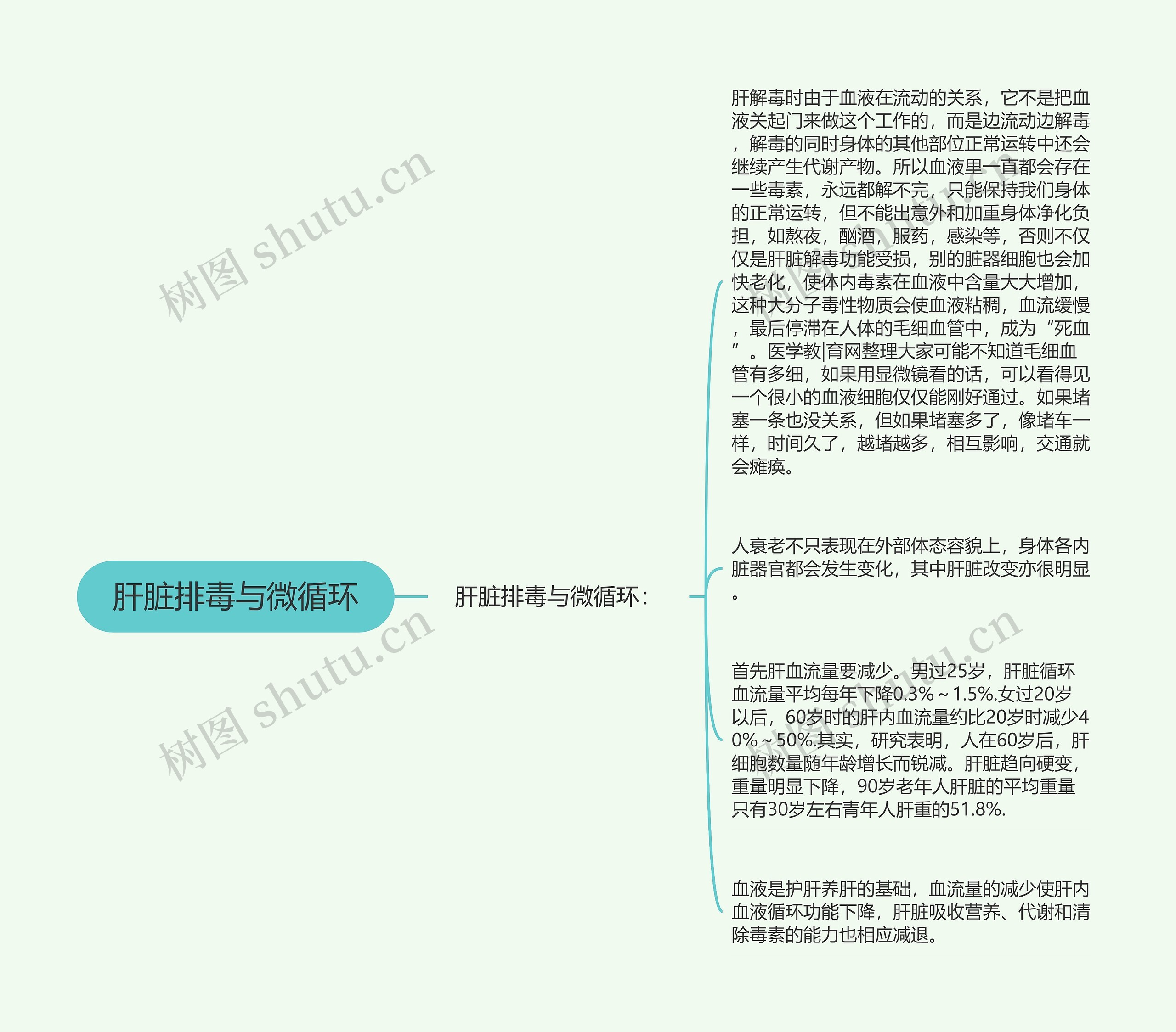 肝脏排毒与微循环