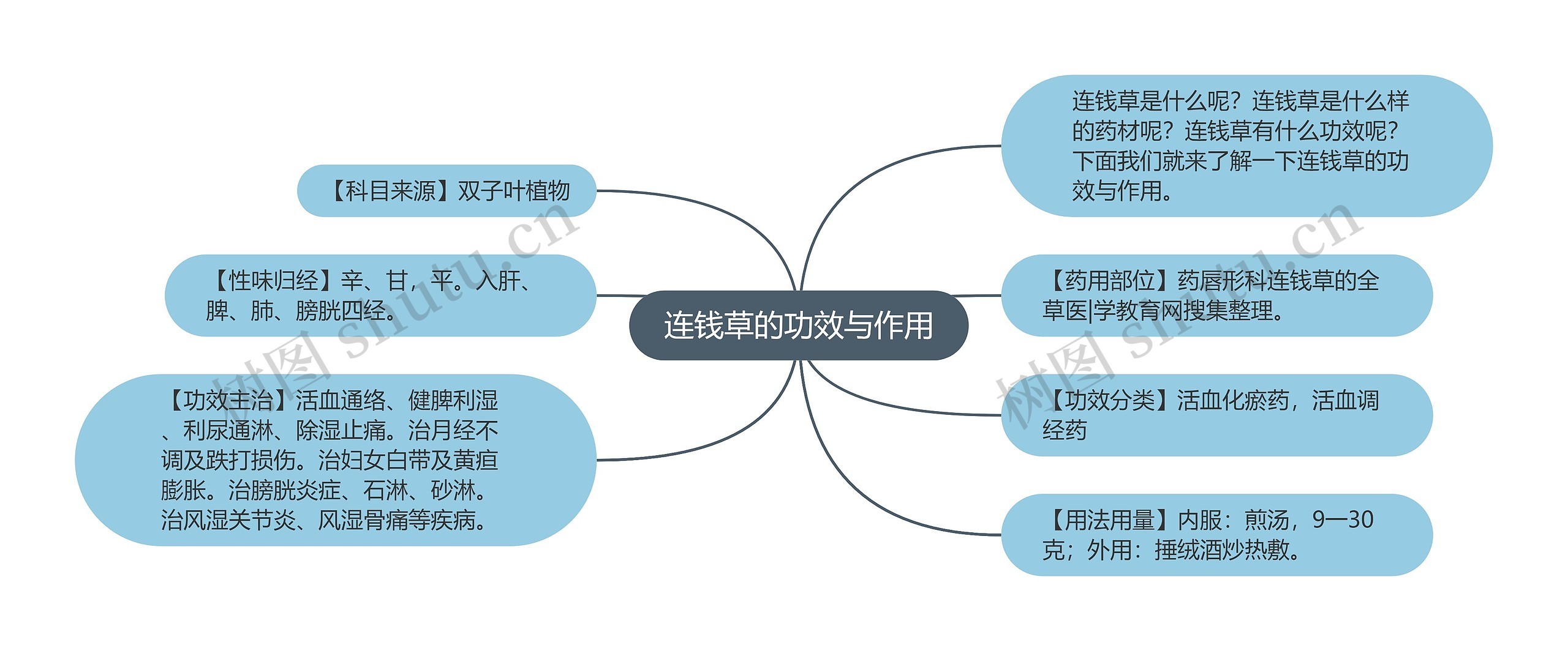 连钱草的功效与作用