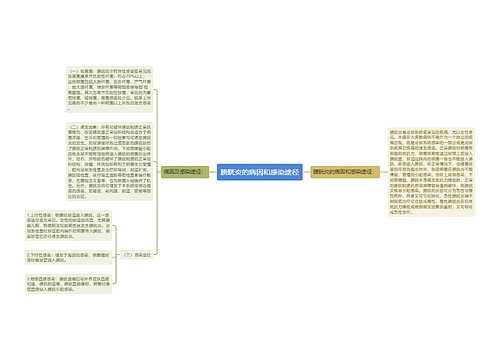 膀胱炎的病因和感染途径