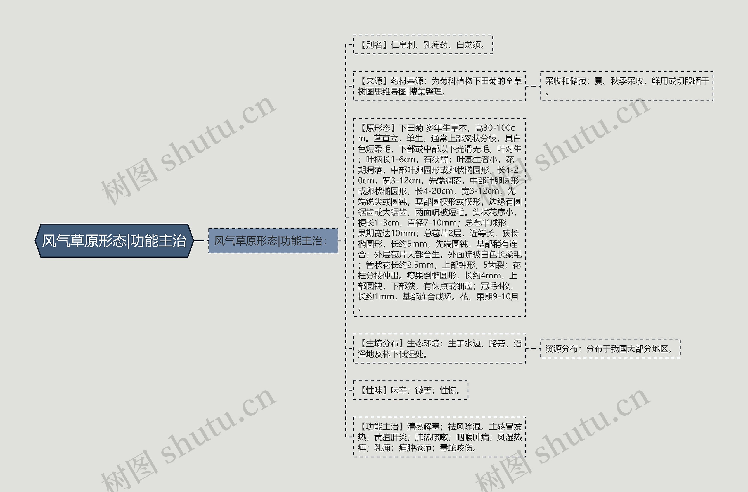 风气草原形态|功能主治思维导图