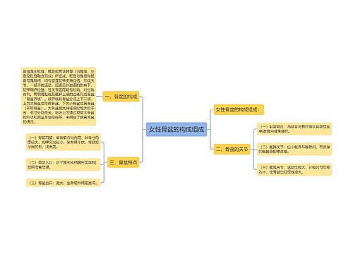 女性骨盆的构成组成