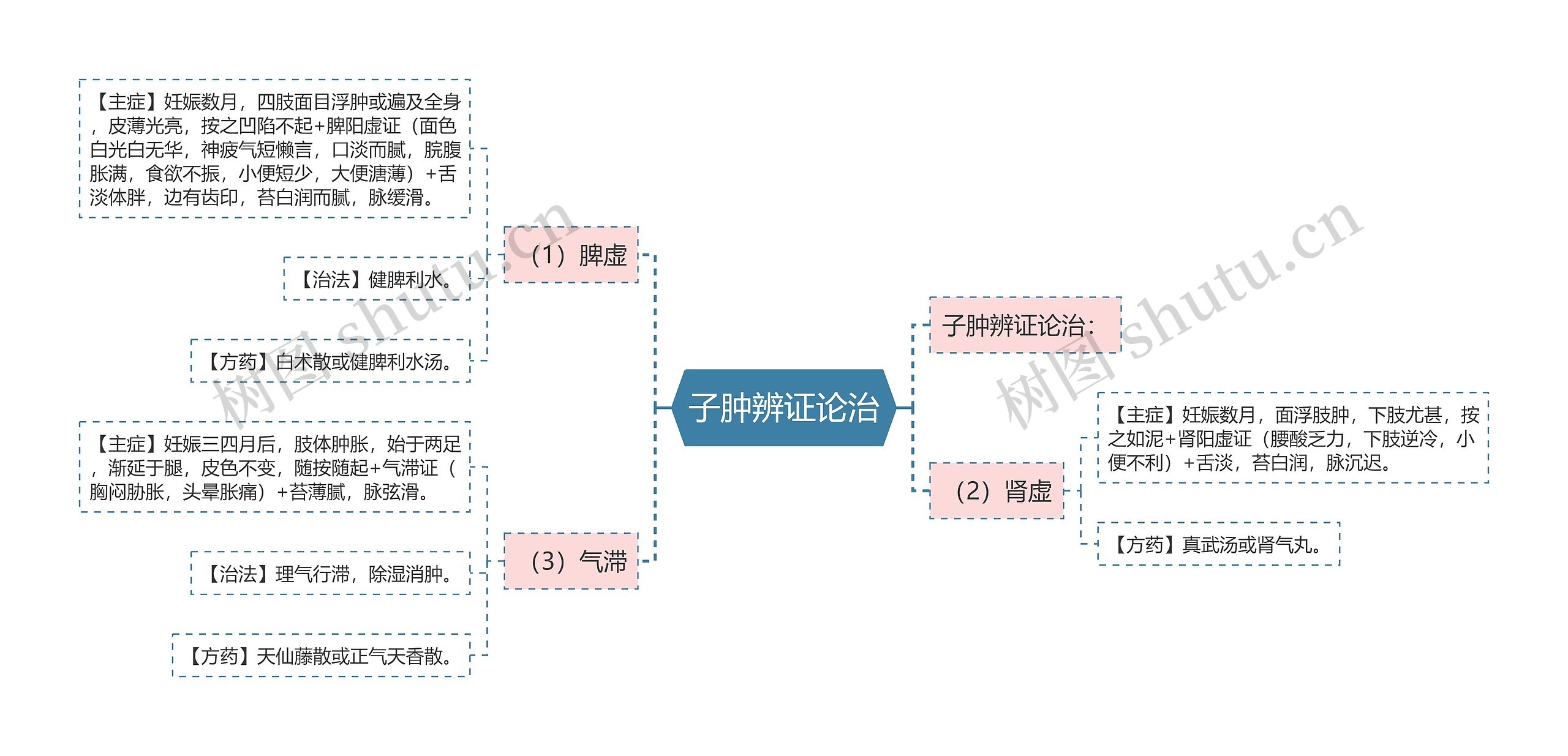 子肿辨证论治