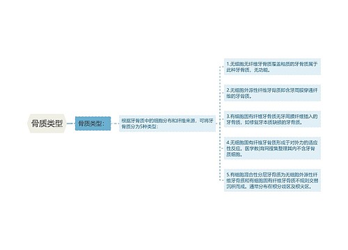 骨质类型