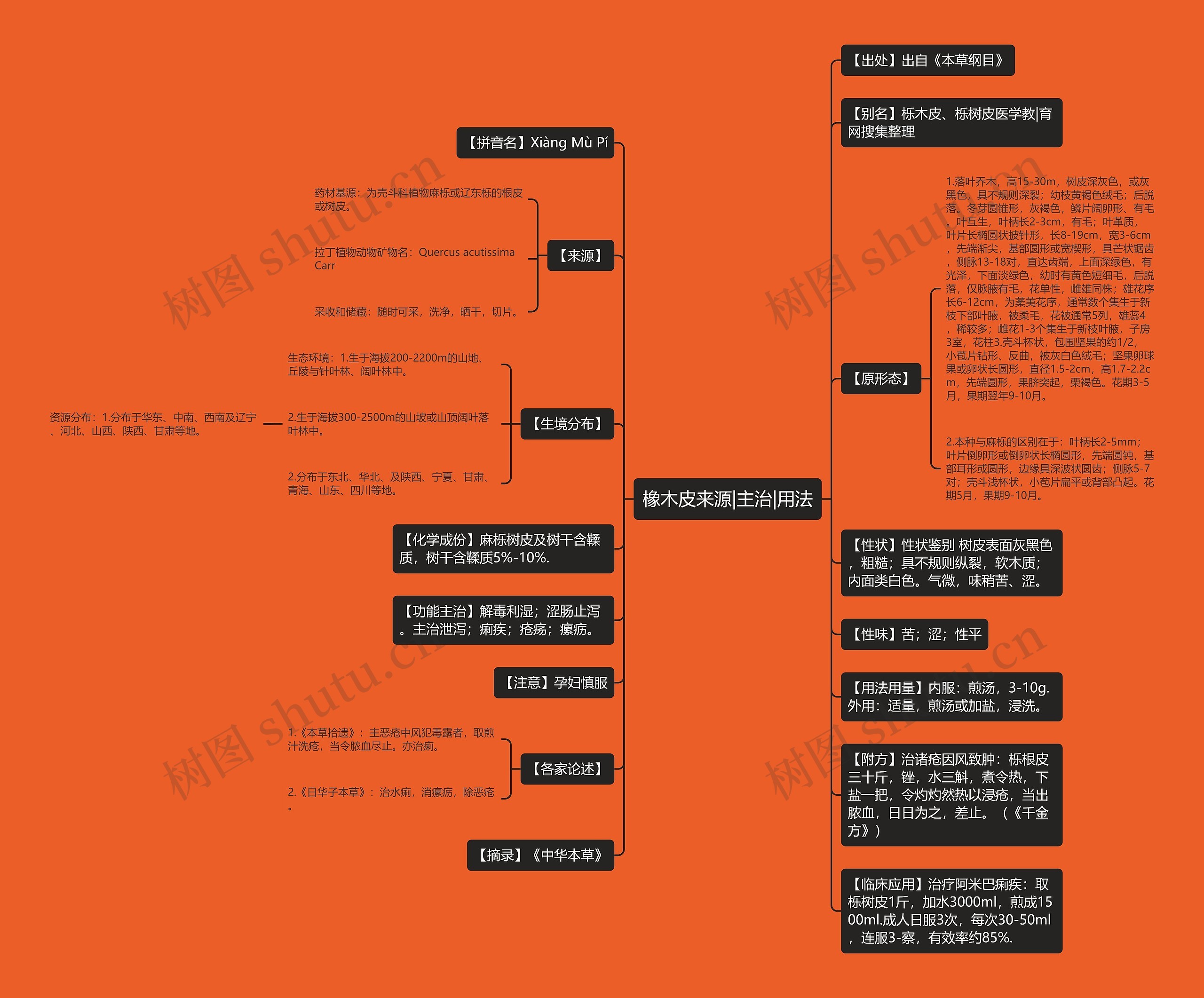 橡木皮来源|主治|用法思维导图高清图 橡木皮来源|主治|用法思维导图