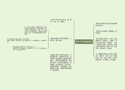 牵牛子的功能|应用