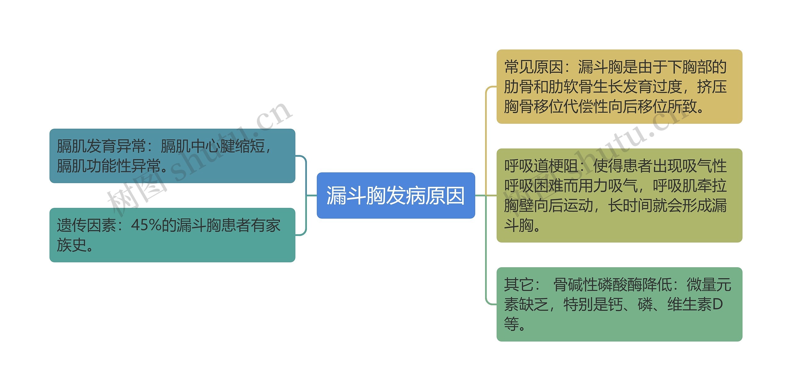 漏斗胸发病原因思维导图