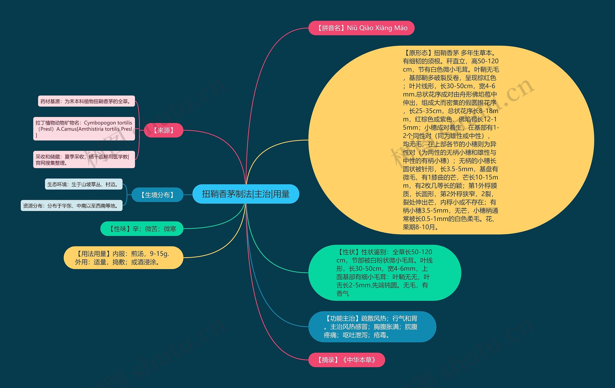 扭鞘香茅制法|主治|用量思维导图
