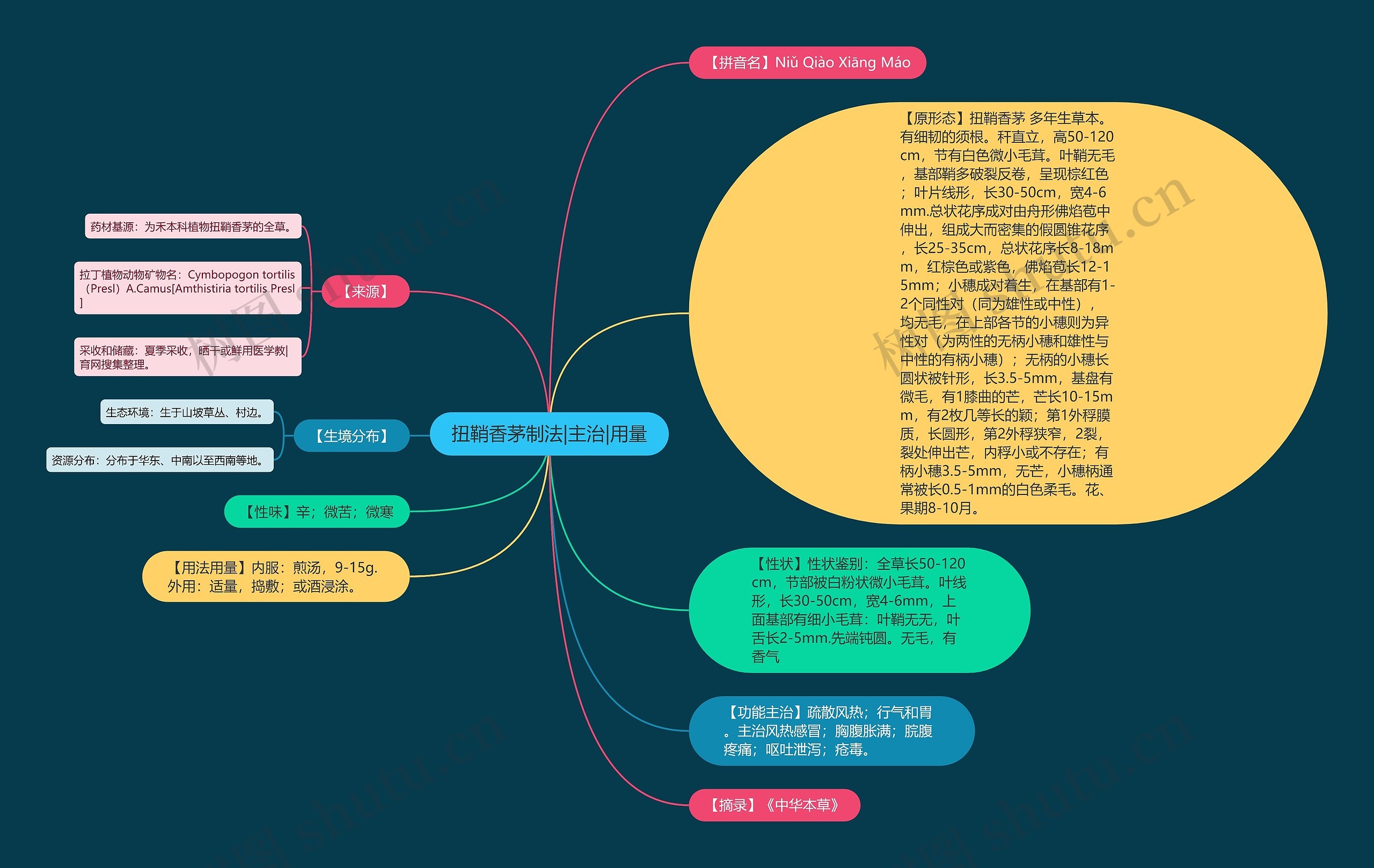 扭鞘香茅制法|主治|用量 扭鞘香茅制法|主治|用量