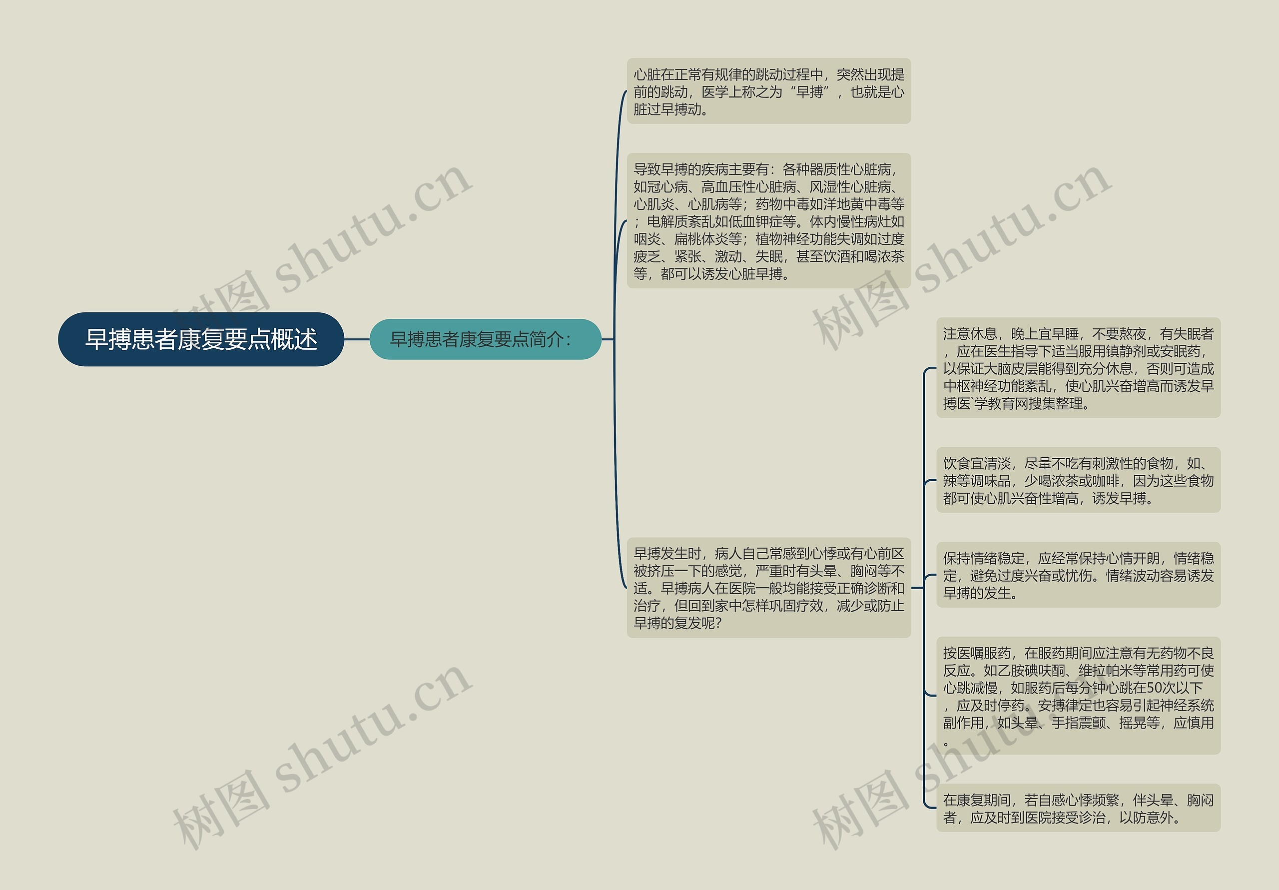 早搏患者康复要点概述思维导图