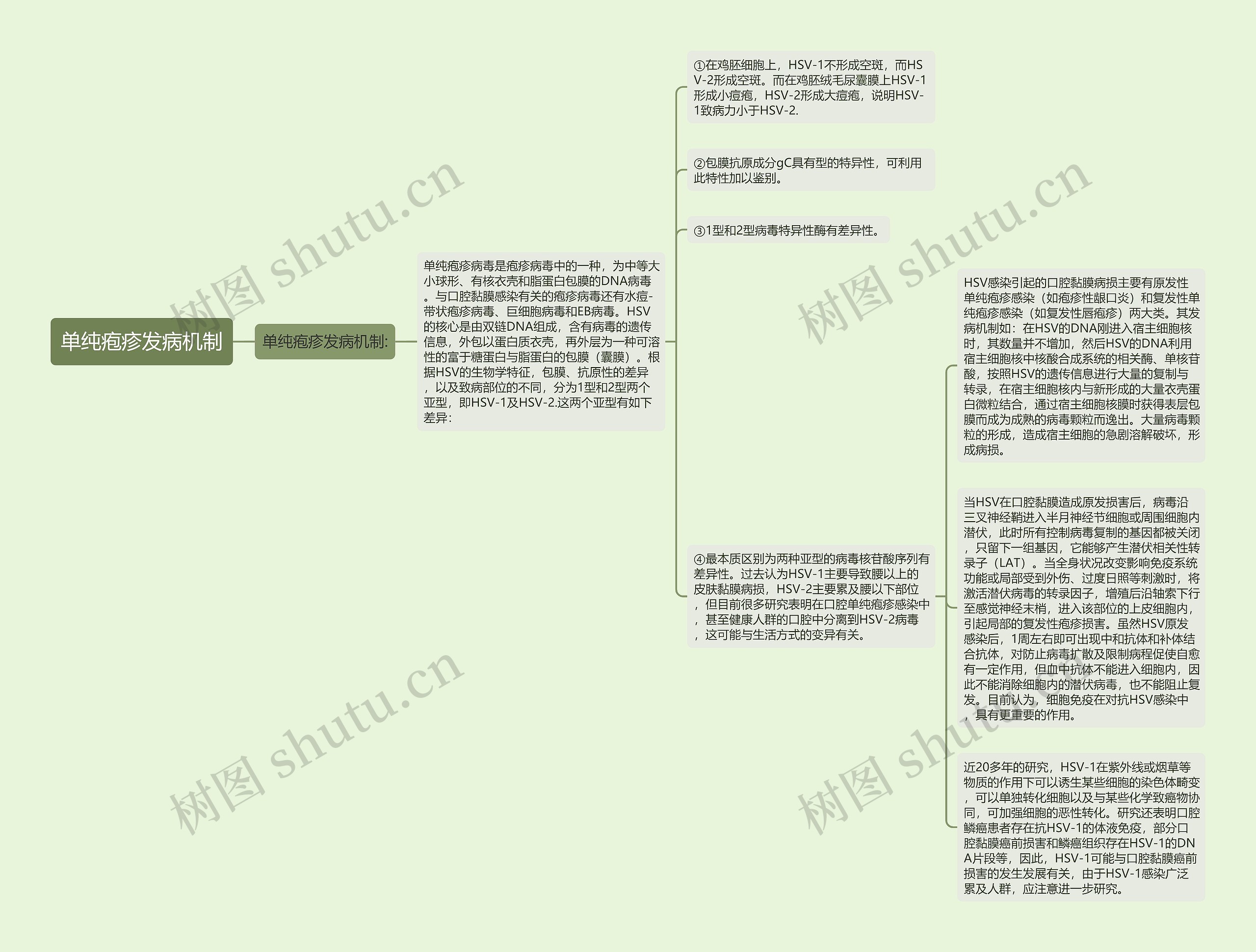 单纯疱疹发病机制思维导图