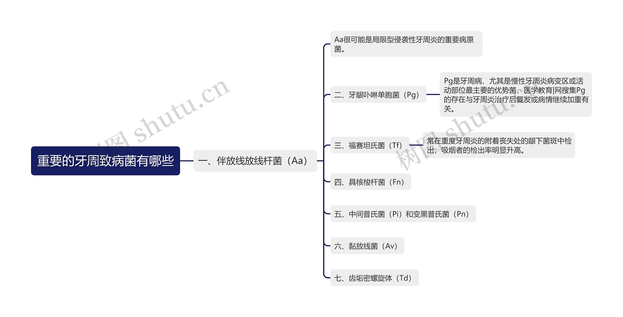 重要的牙周致病菌有哪些思维导图