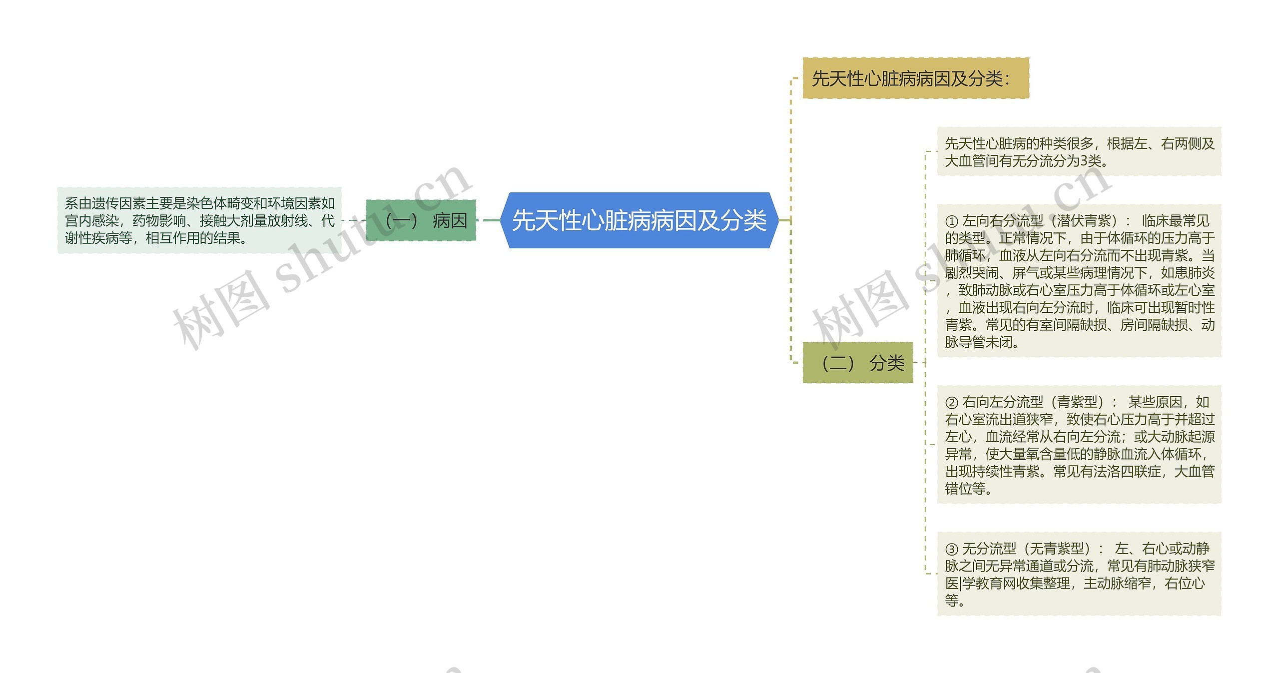 先天性心脏病病因及分类思维导图