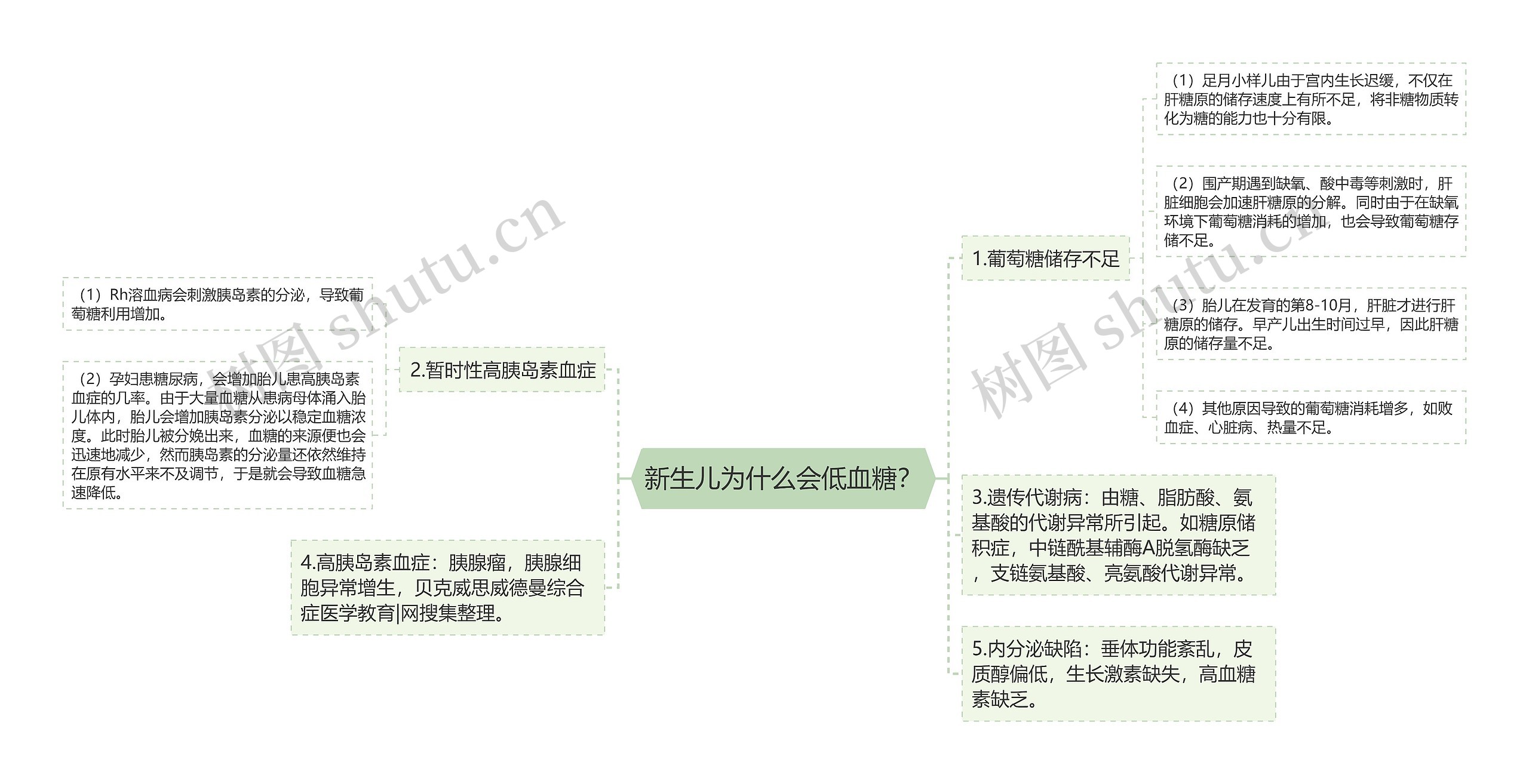 新生儿为什么会低血糖？思维导图