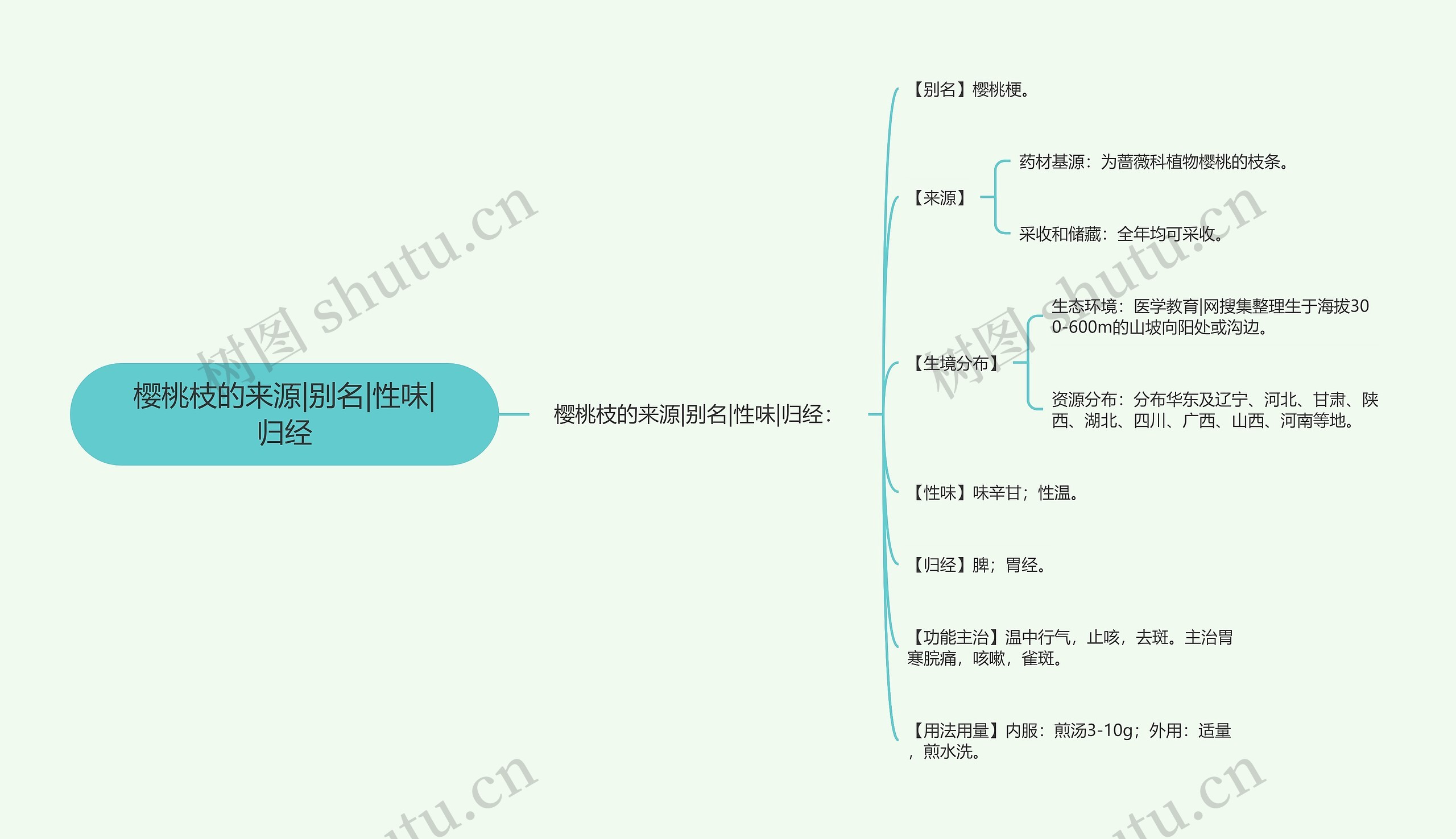 樱桃枝的来源|别名|性味|归经思维导图