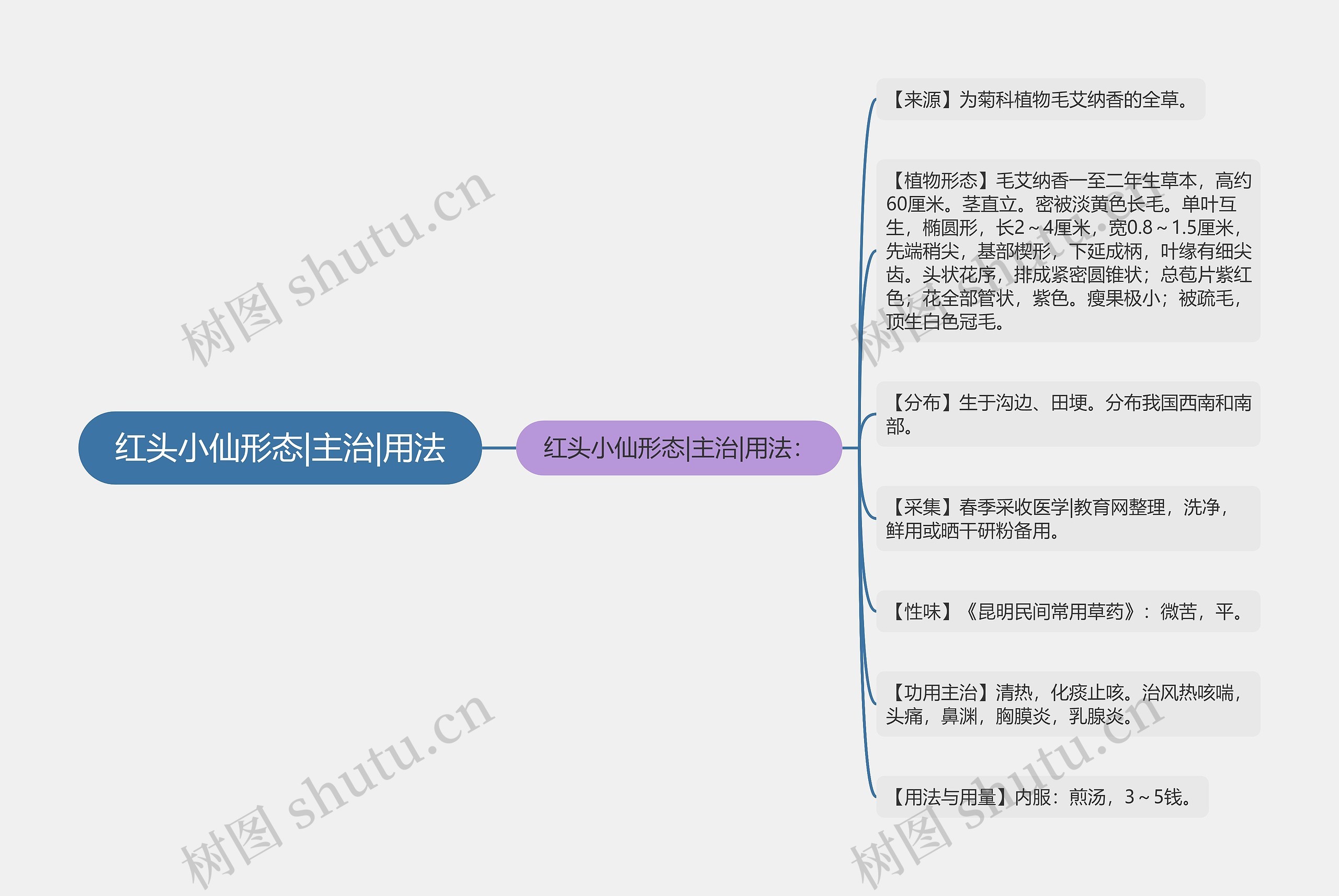 红头小仙形态|主治|用法思维导图