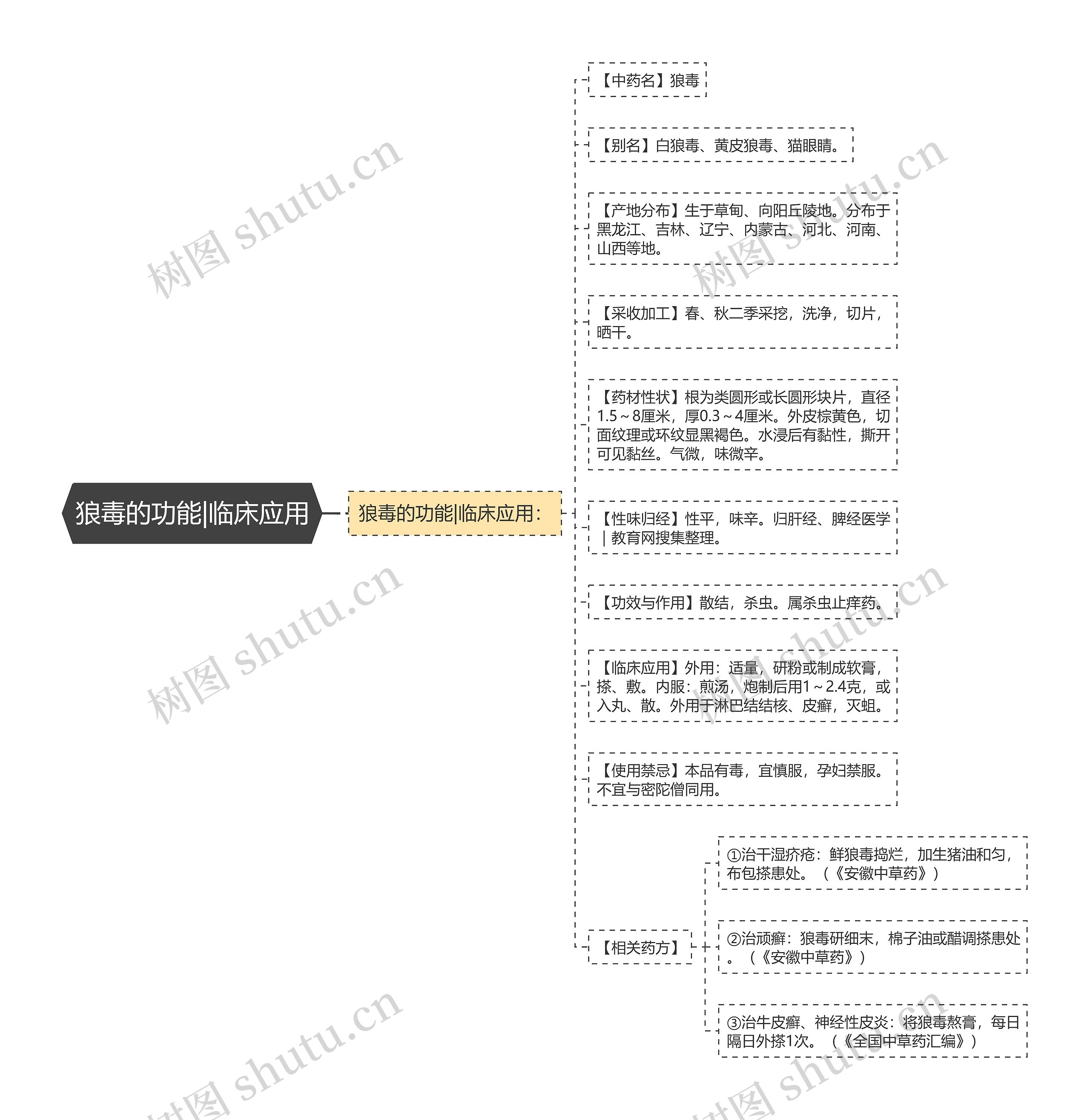 狼毒的功能|临床应用 狼毒的功能|临床应用