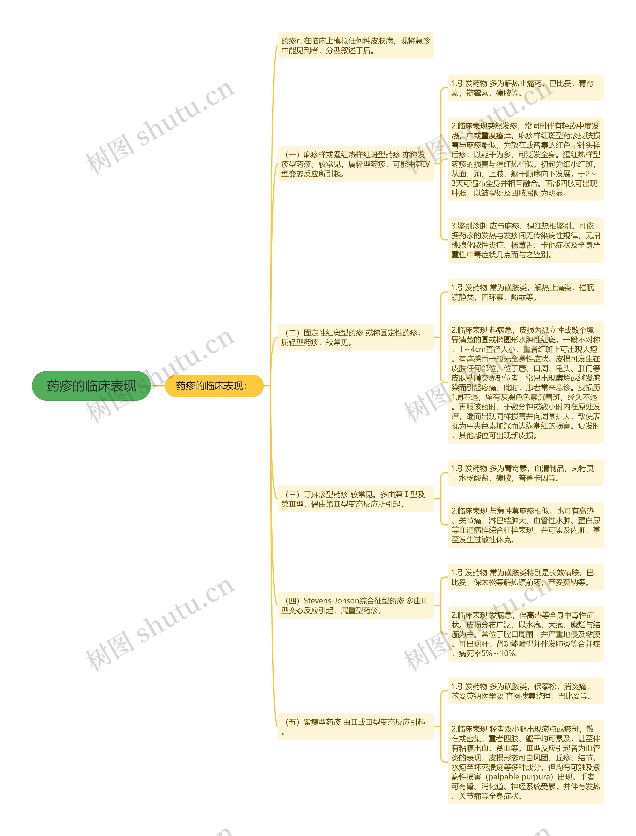 药疹的临床表现 药疹的临床表现