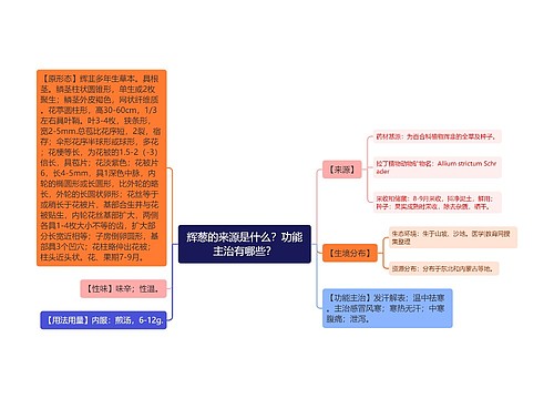 辉葱的来源是什么？功能主治有哪些？