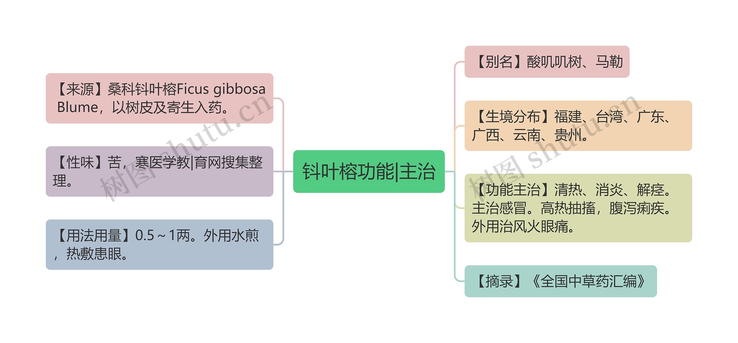 钭叶榕功能|主治思维导图