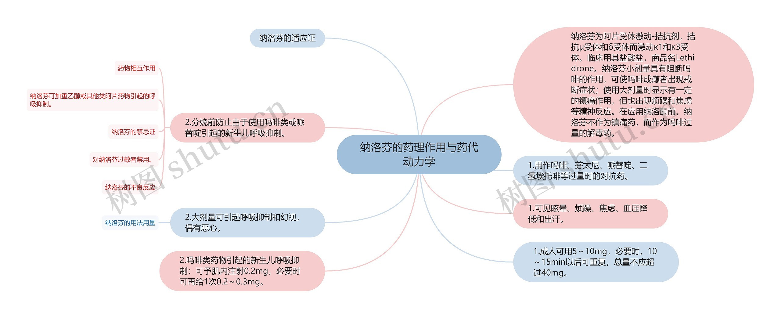 纳洛芬的药理作用与药代动力学思维导图