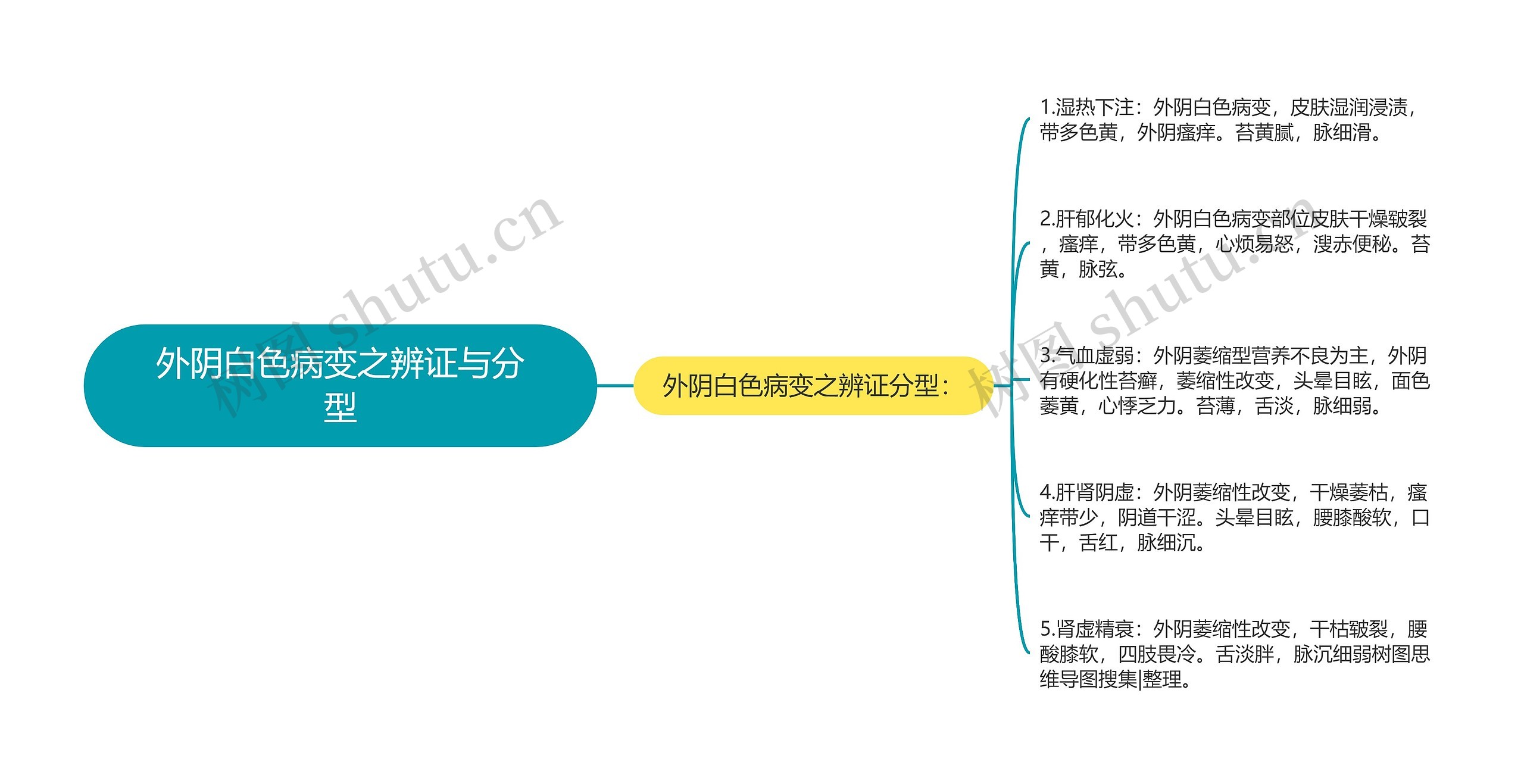 外阴白色病变之辨证与分型