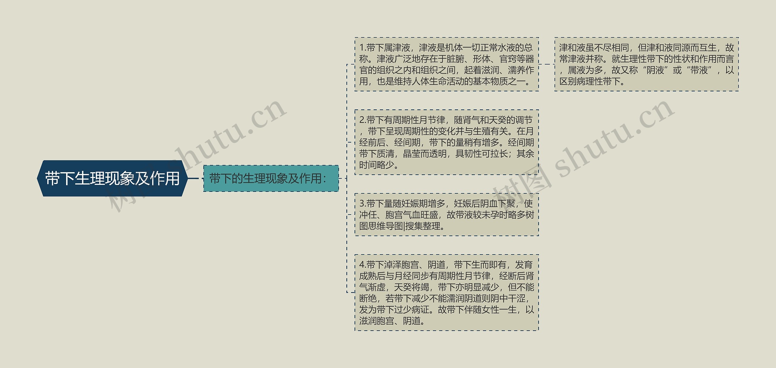 带下生理现象及作用思维导图