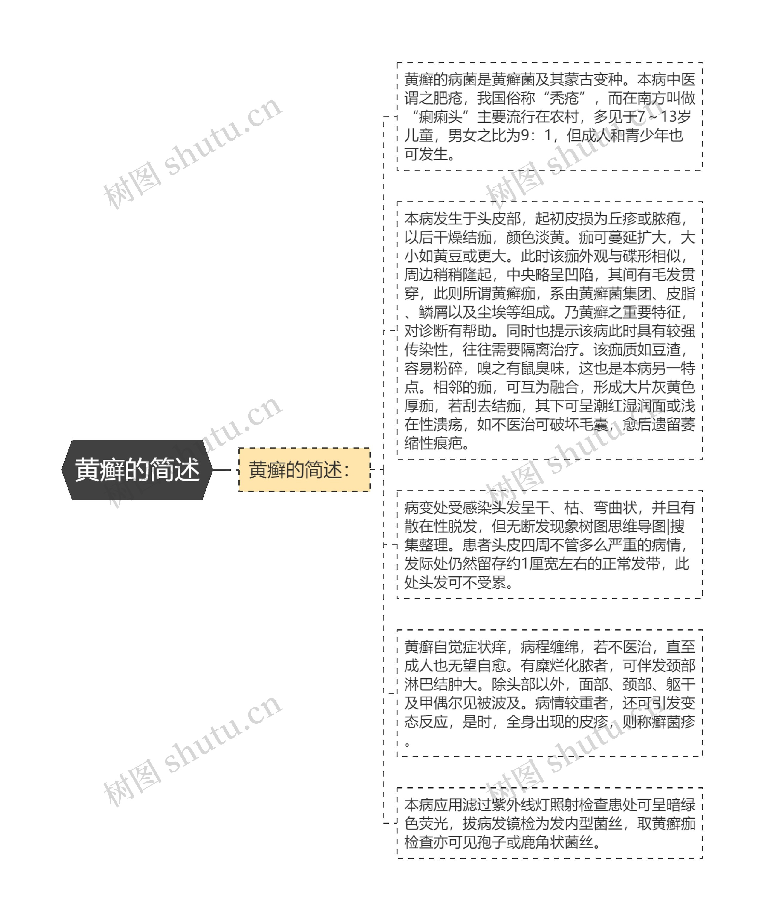 黄癣的简述思维导图