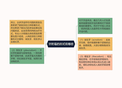 牙附着的形式有哪些