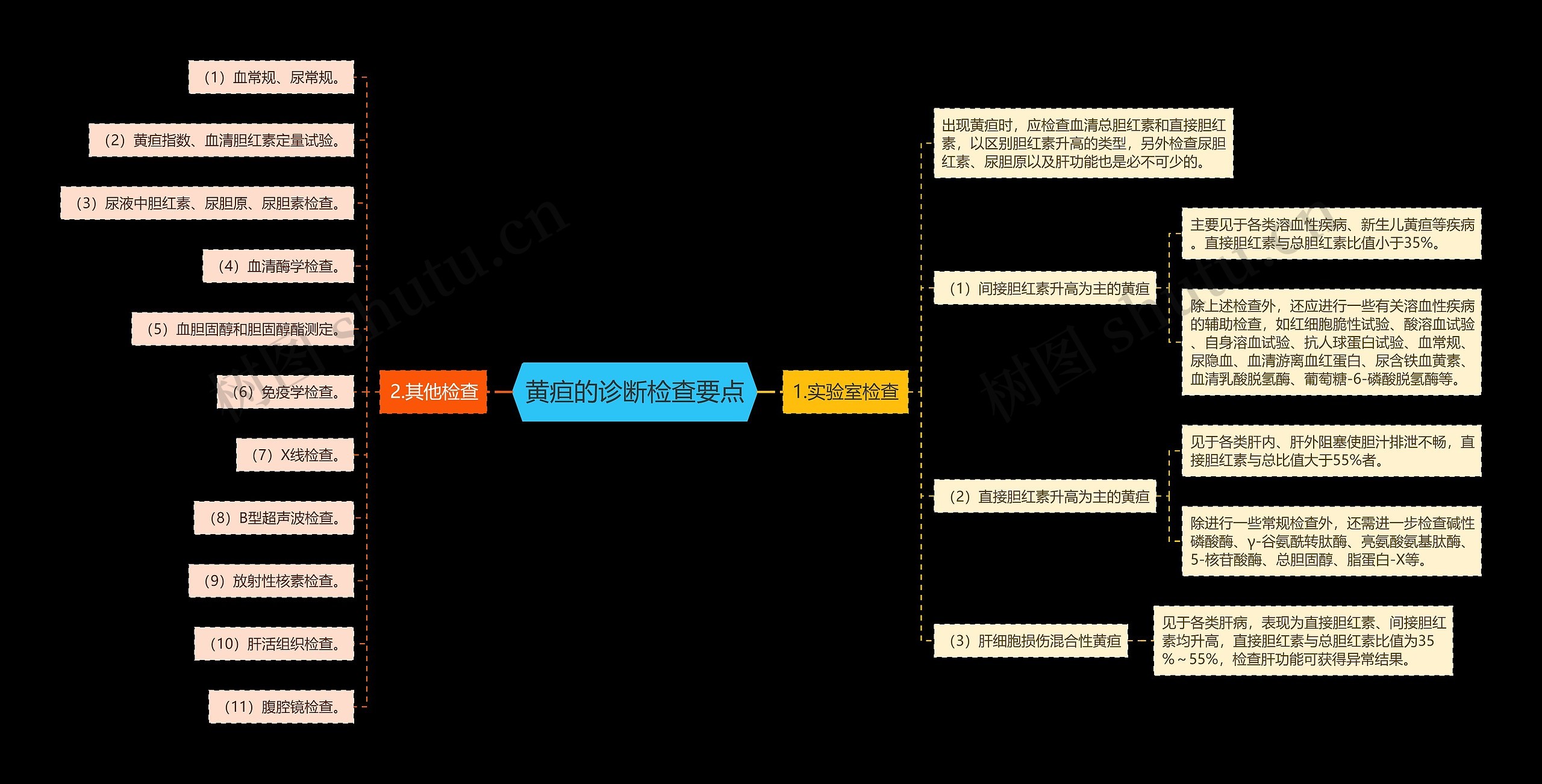 黄疸的诊断检查要点