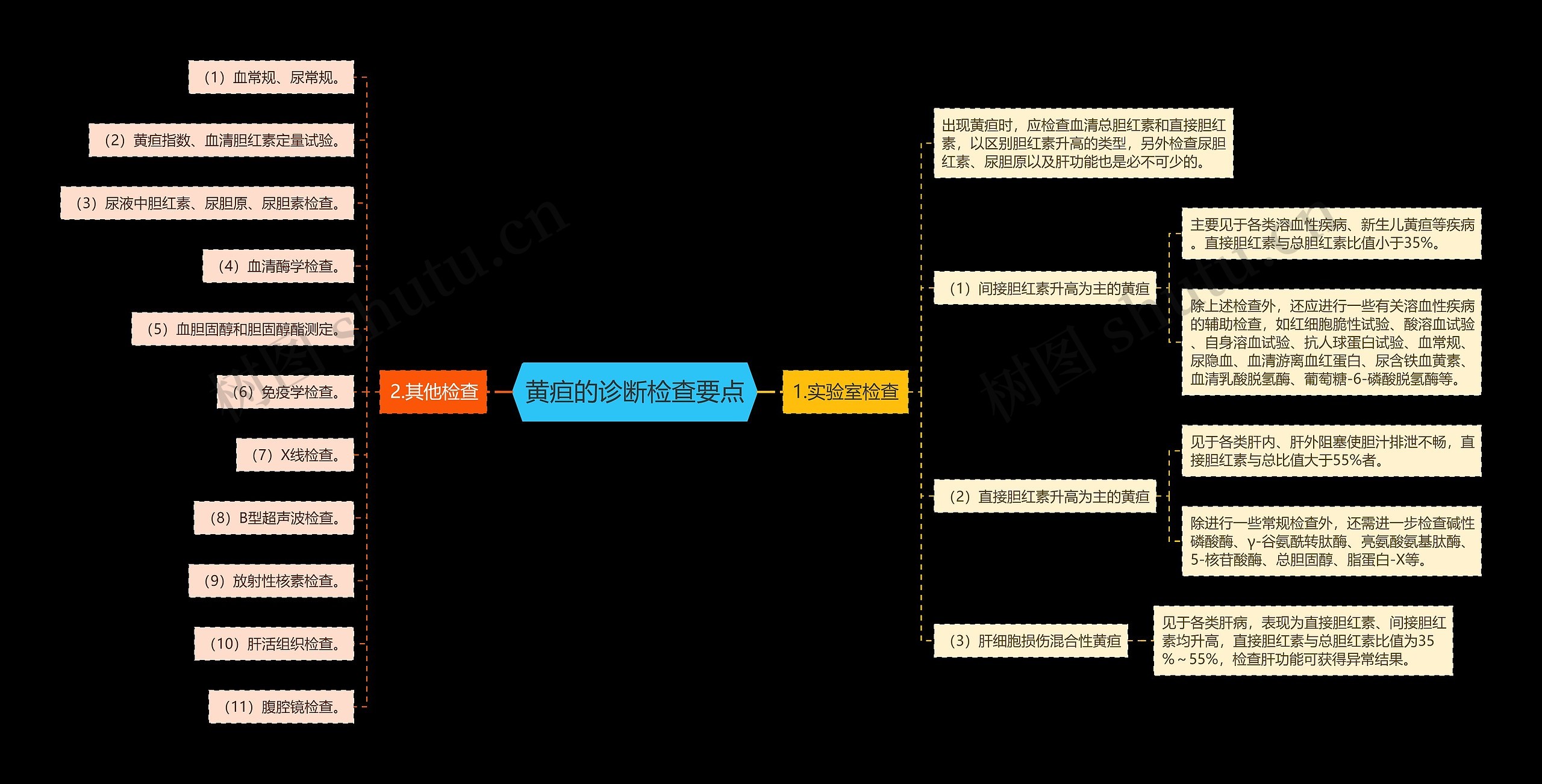 黄疸的诊断检查要点思维导图