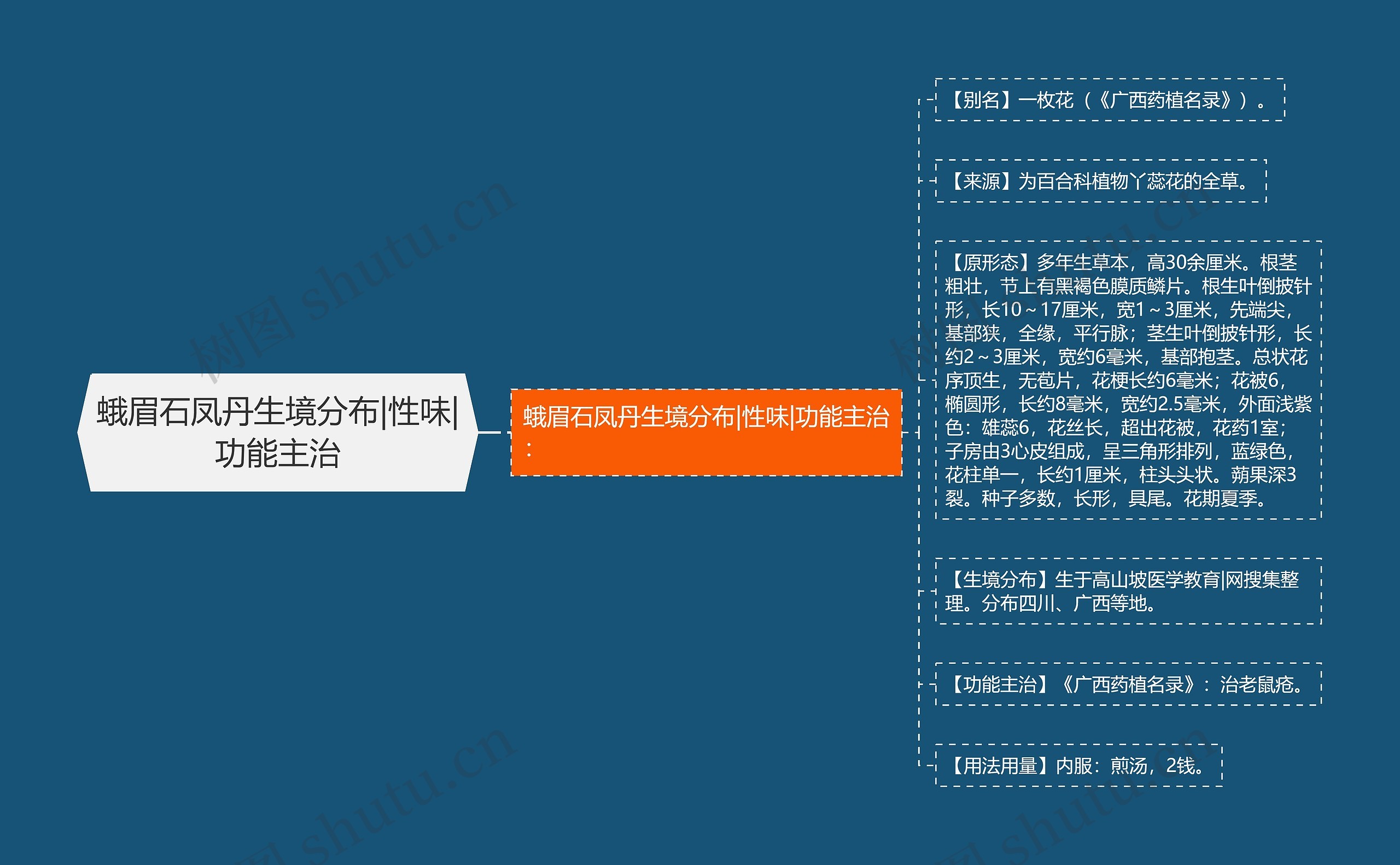 蛾眉石凤丹生境分布|性味|功能主治