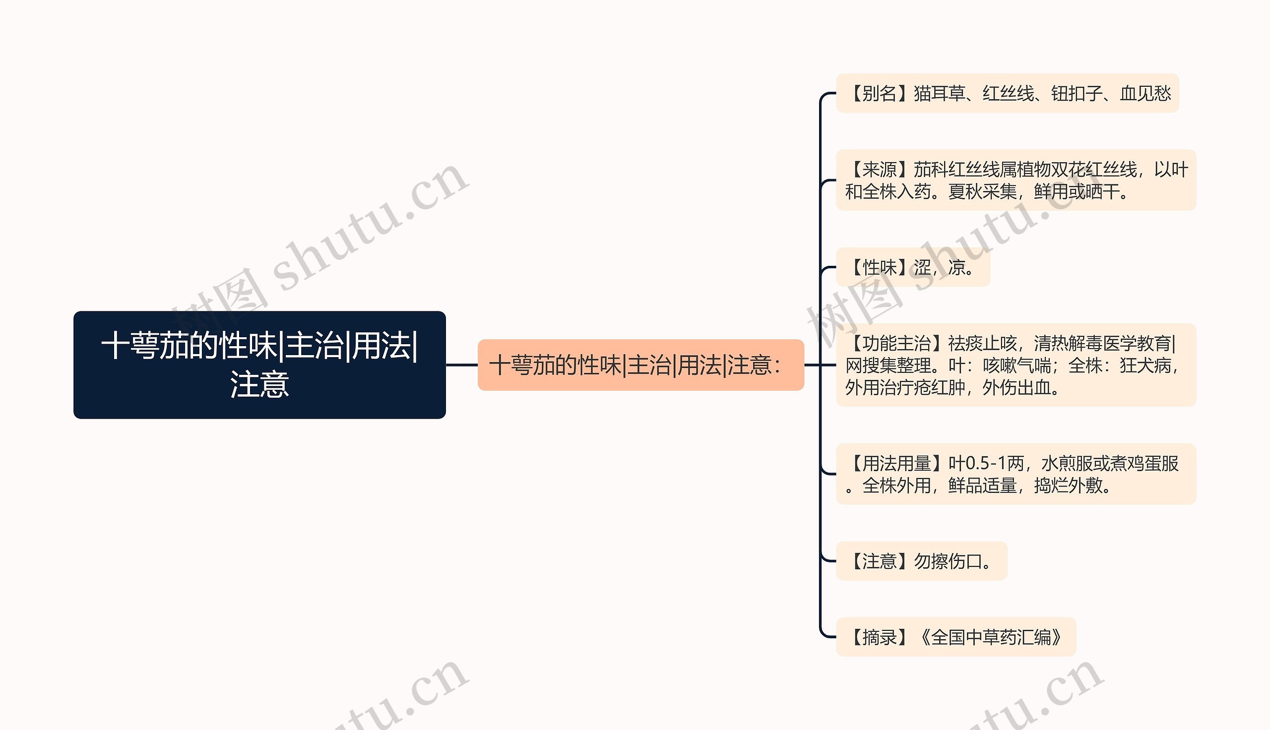 十萼茄的性味|主治|用法|注意思维导图