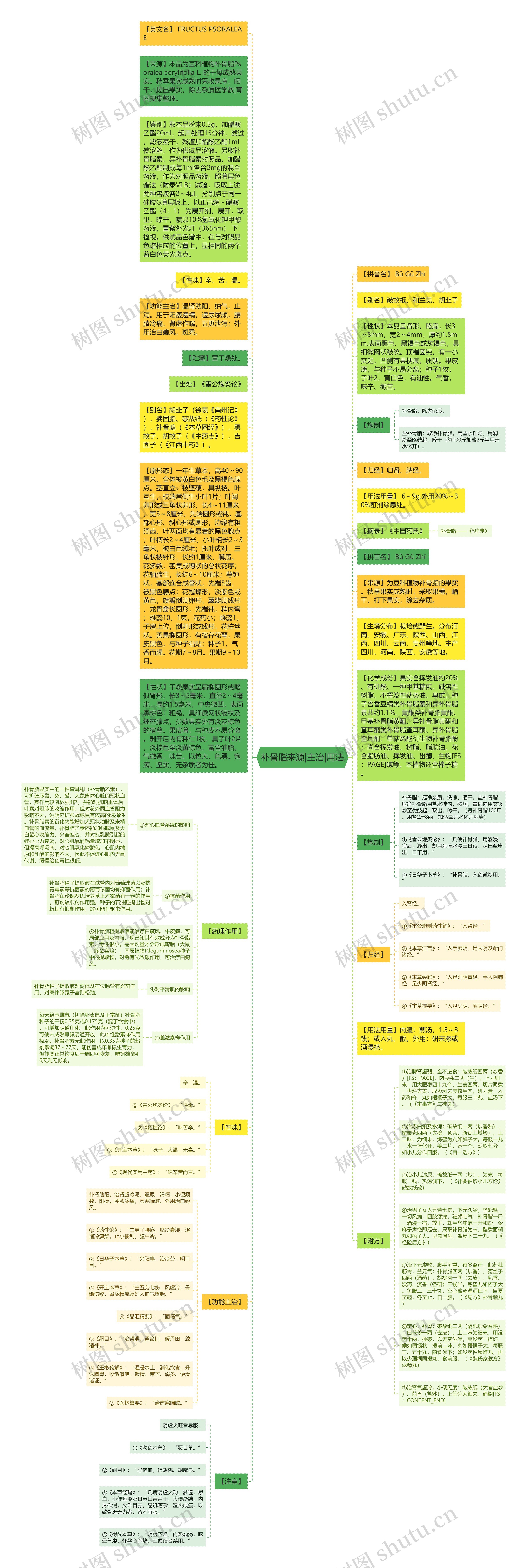 补骨脂来源|主治|用法思维导图