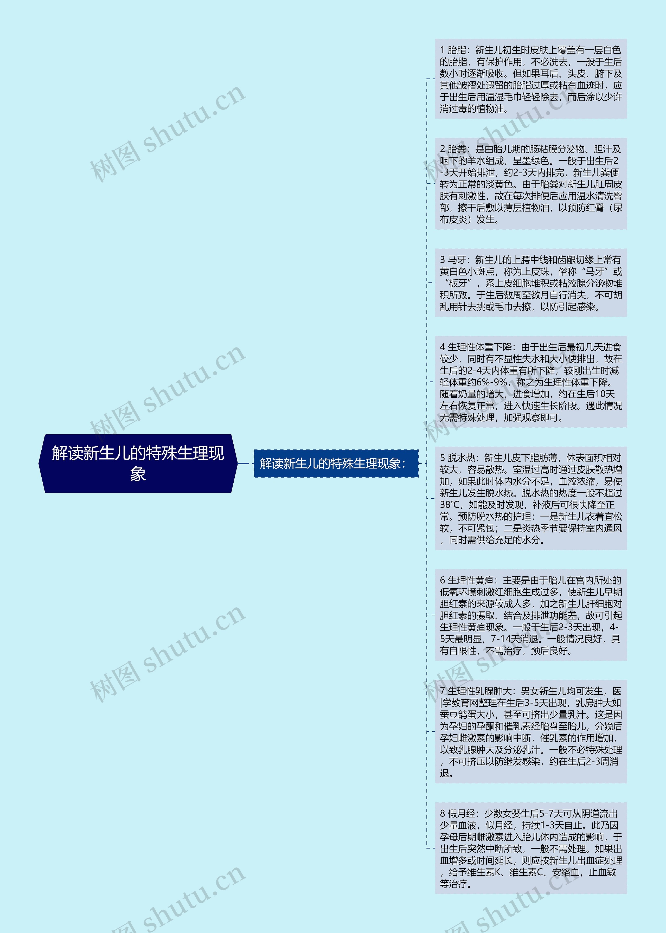 解读新生儿的特殊生理现象思维导图