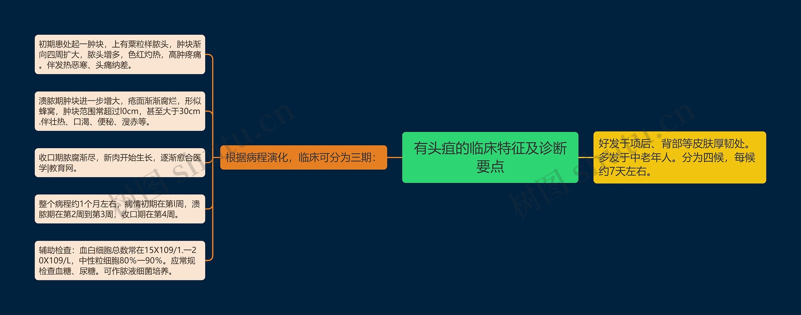 有头疽的临床特征及诊断要点思维导图