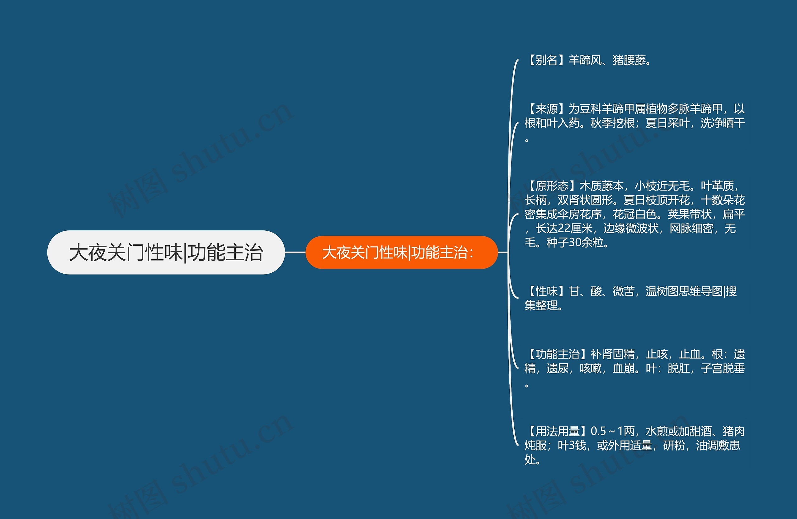 大夜关门性味|功能主治思维导图