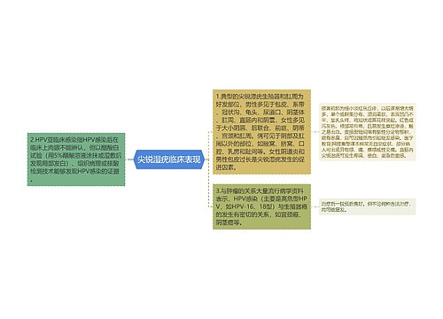 尖锐湿疣临床表现