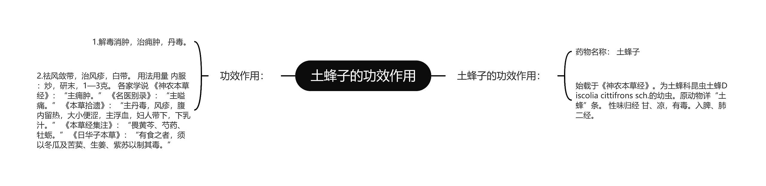 土蜂子的功效作用 土蜂子的功效作用