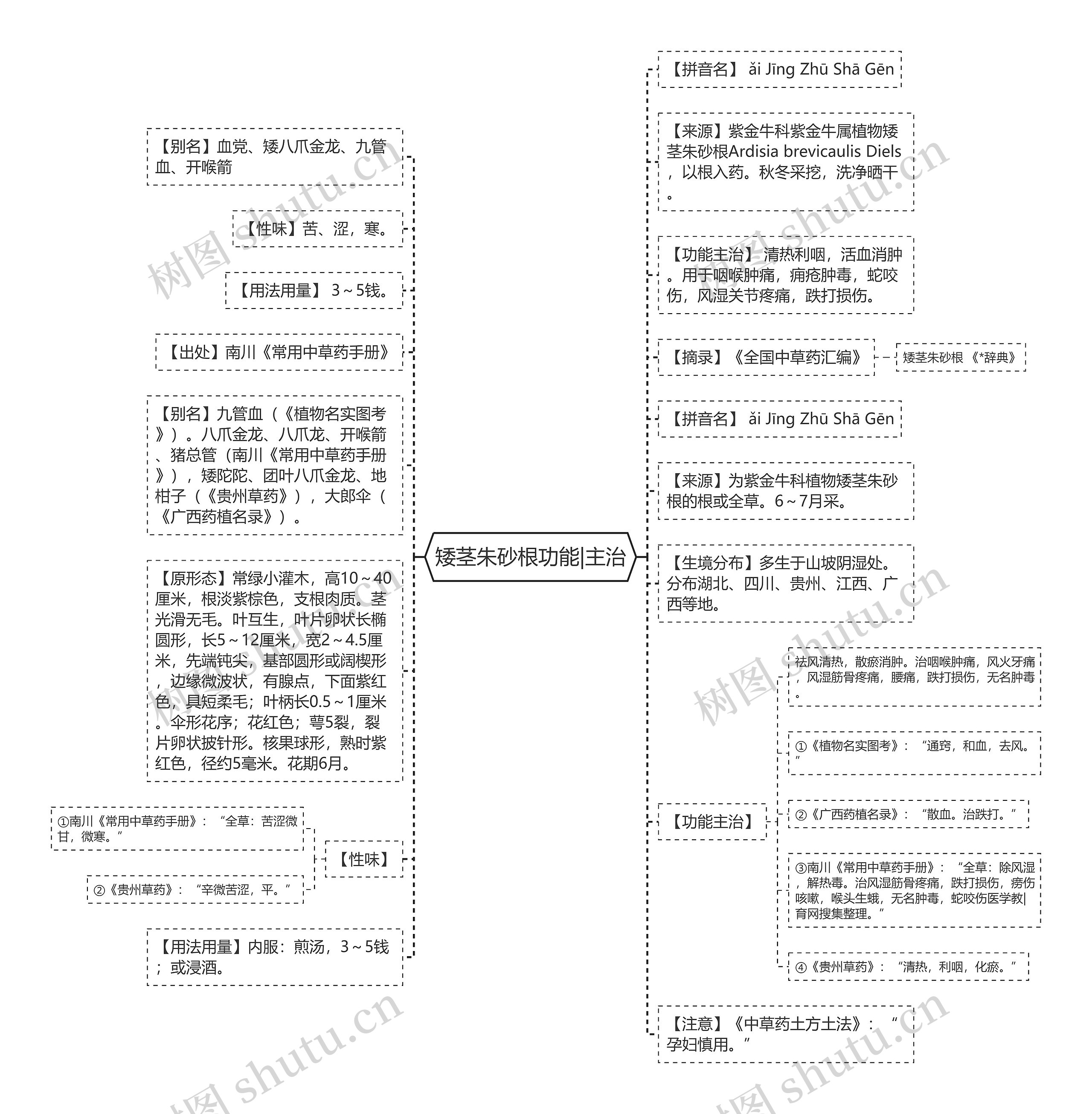 矮茎朱砂根功能|主治思维导图