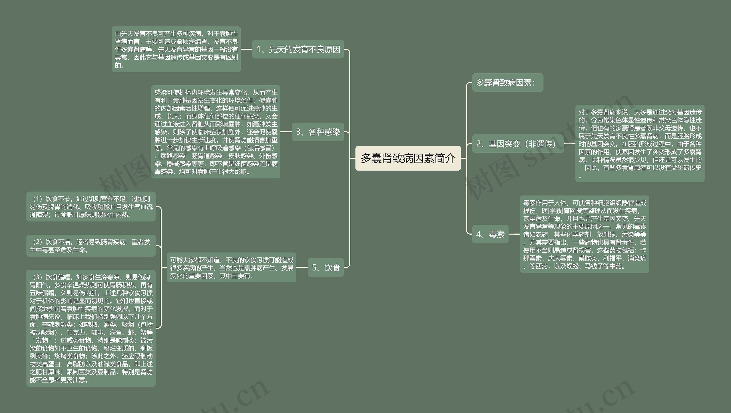 多囊肾致病因素简介