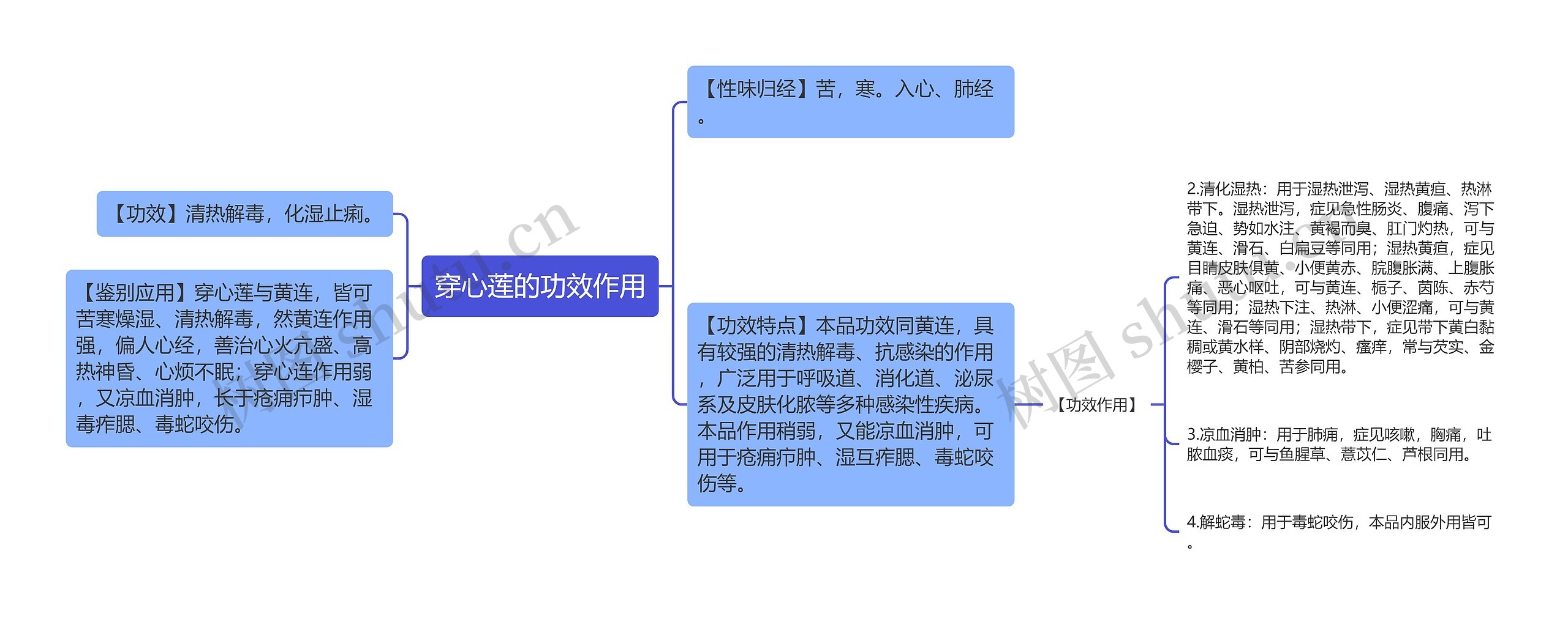 穿心莲的功效作用思维导图