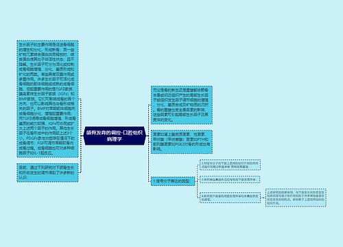 颌骨发育的调控-口腔组织病理学