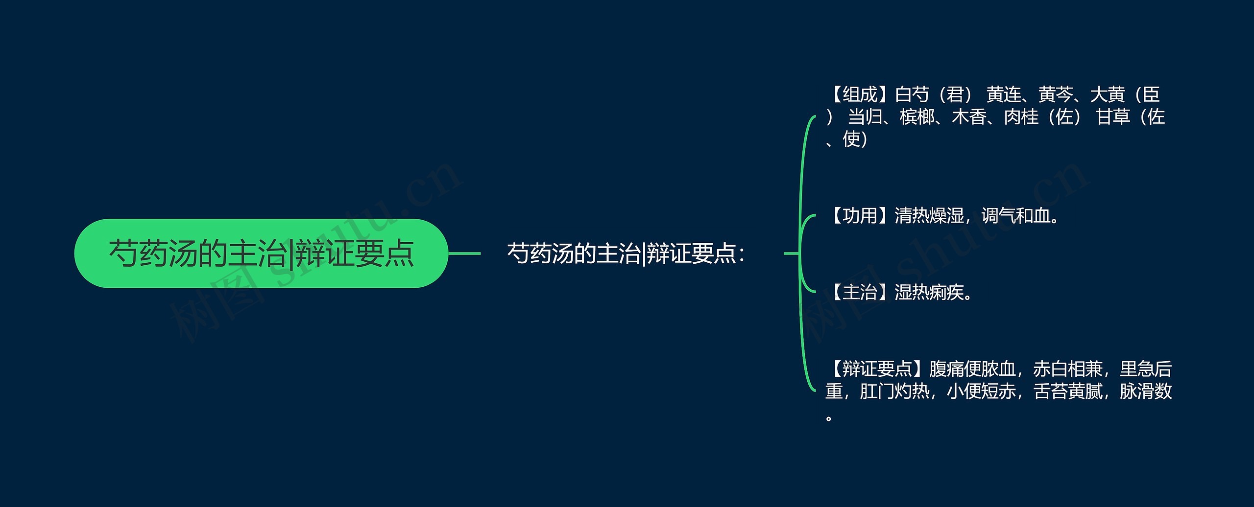 芍药汤的主治|辩证要点思维导图