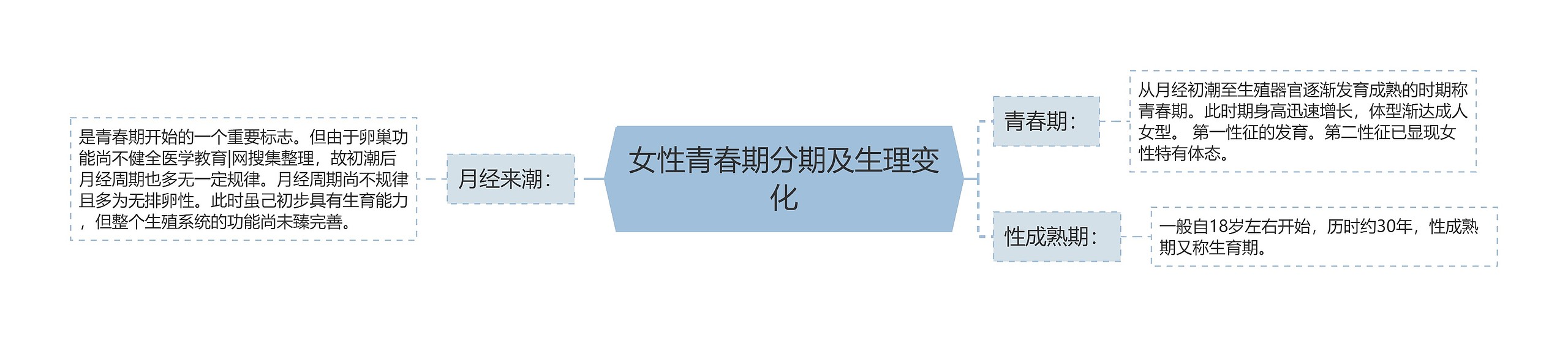 女性青春期分期及生理变化