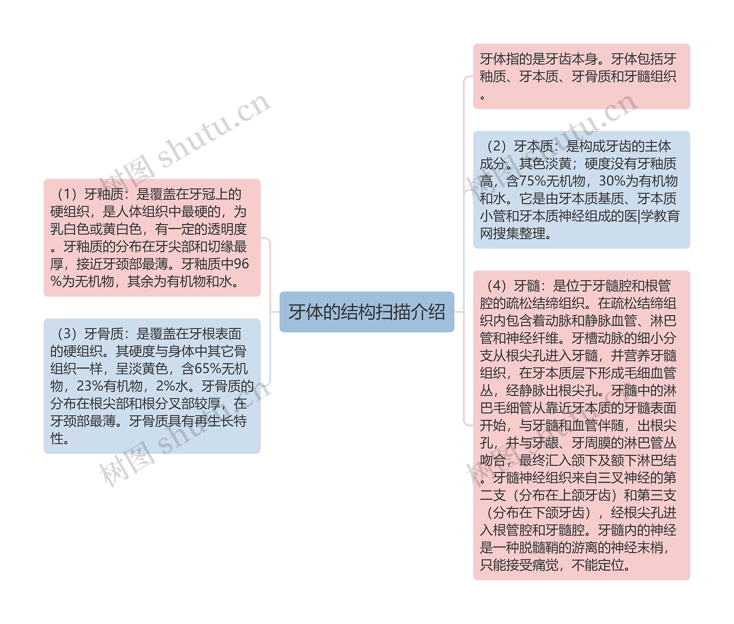 牙体的结构扫描介绍思维导图