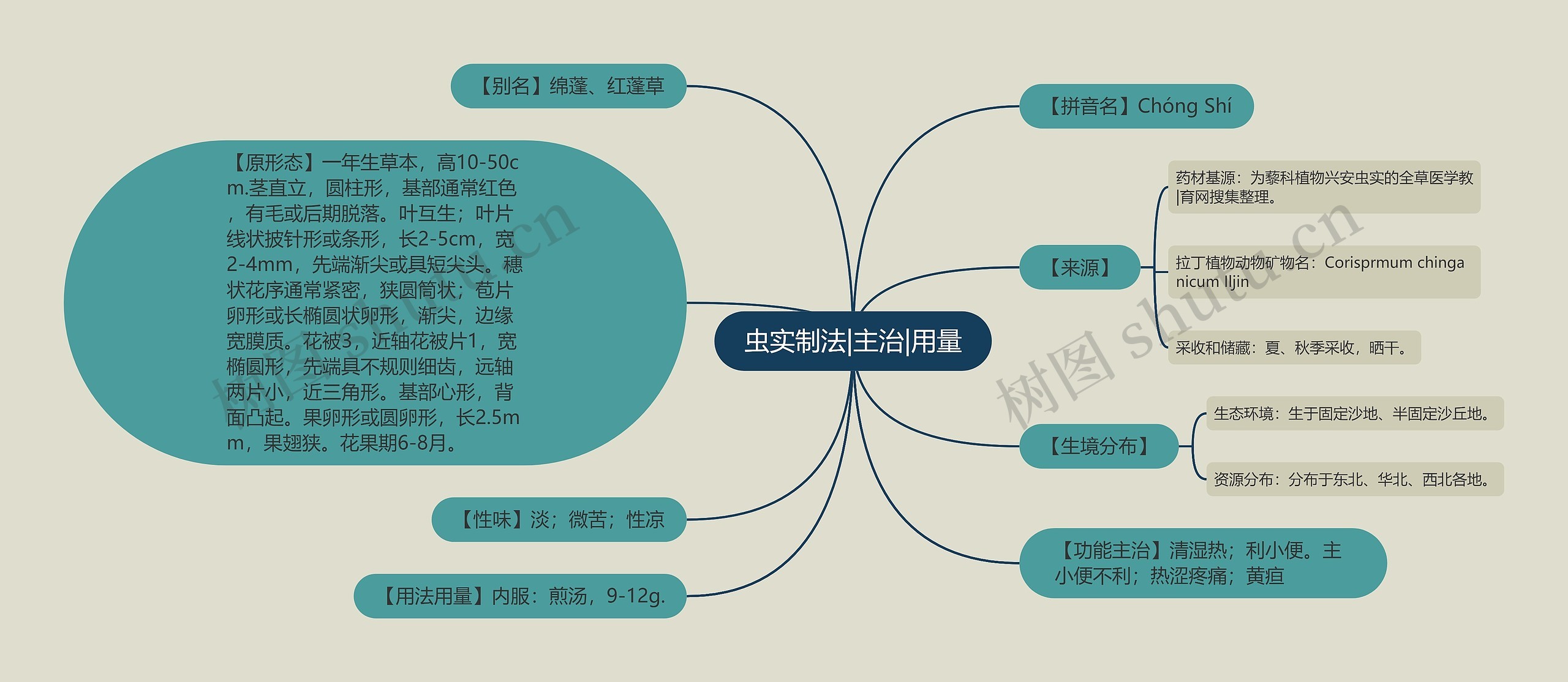 虫实制法|主治|用量