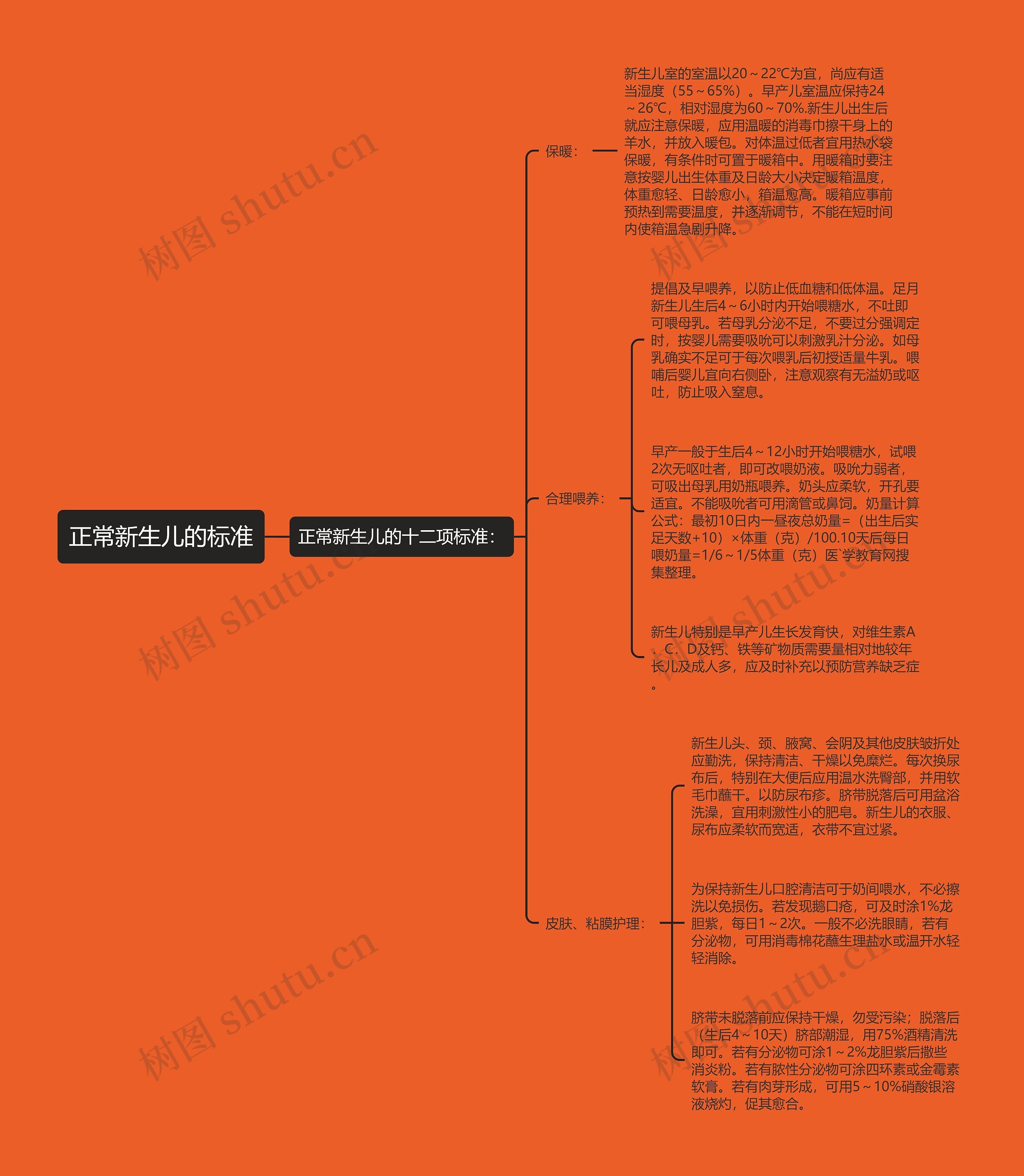 正常新生儿的标准思维导图