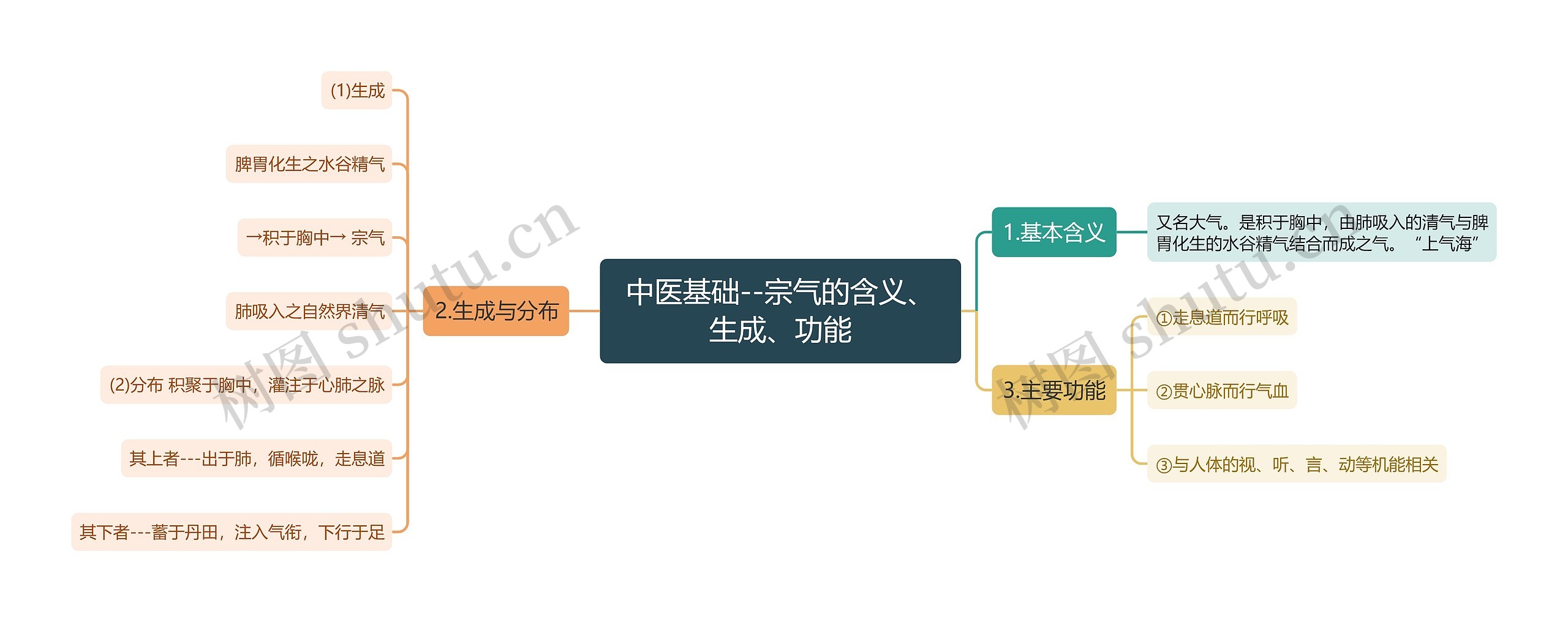 中医基础--宗气的含义、生成、功能