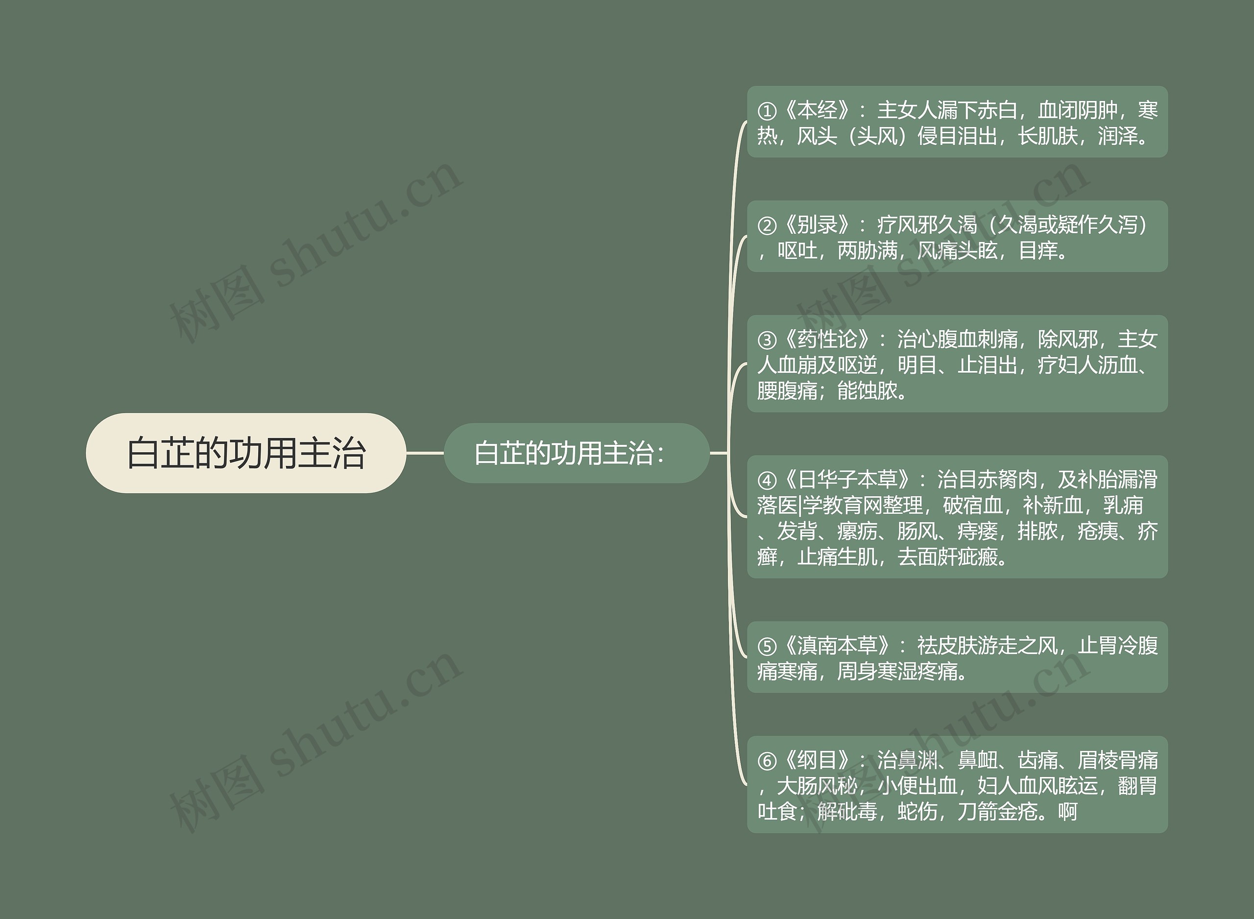 白芷的功用主治思维导图