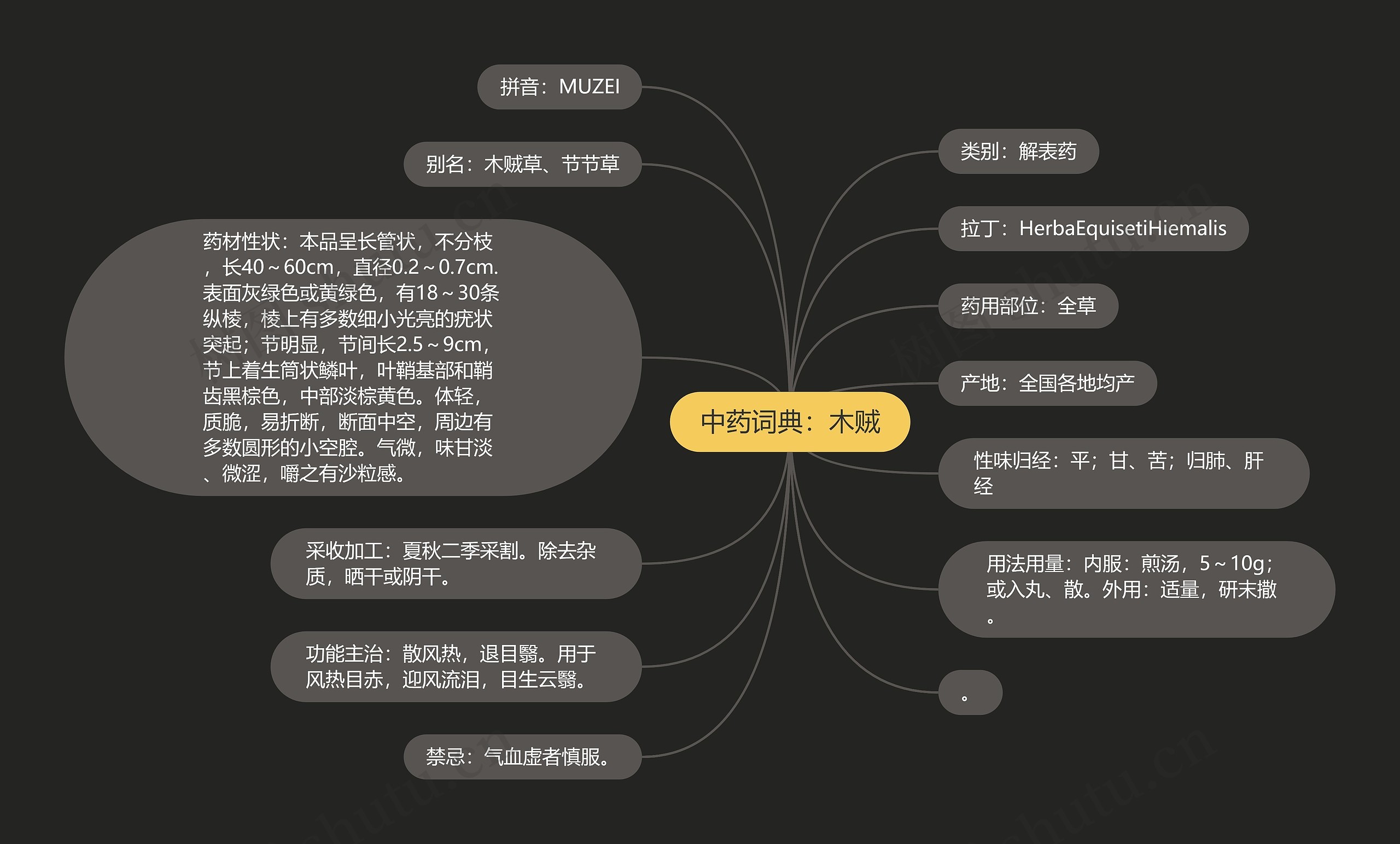 中药词典：木贼思维导图